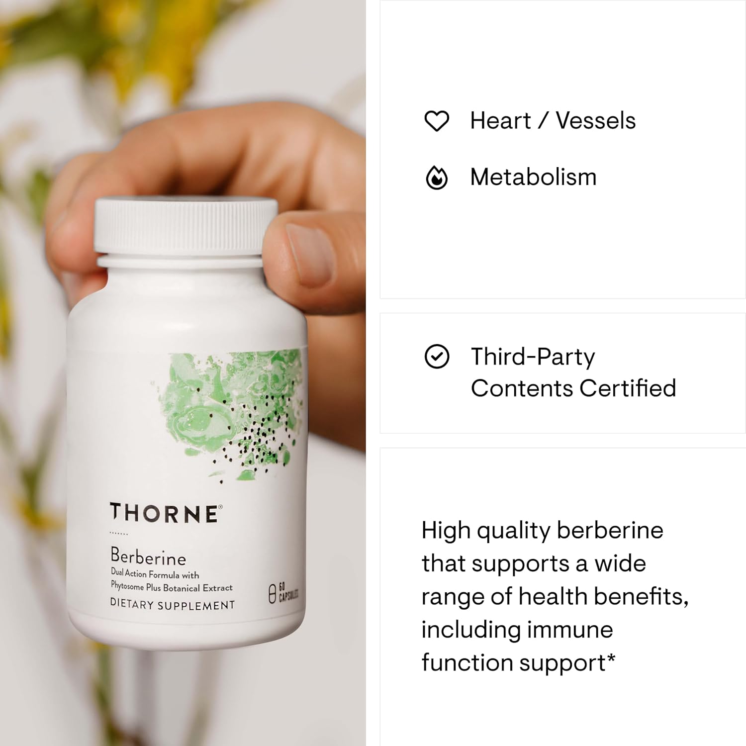 THORNE Berberine - Dual Action Formula with Phytosome Plus Botanical Extract - Support Heart Health, Immune System, Healthy GI, Cholesterol* - Gluten-Free, Dairy-Free - 60 Capsules - 30 Servings - Nirvana Guru