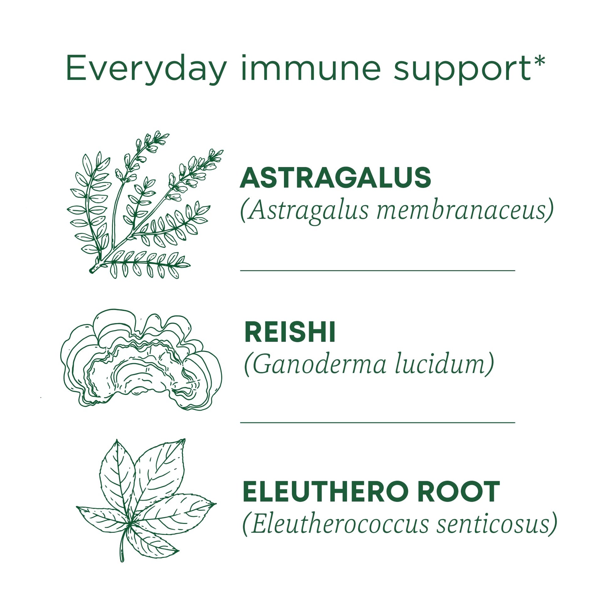 Traditional Medicinals Tea, Organic Stress Ease Immune with Adaptogens, Everyday Immune Support, Reishi Warming Spice, 16 Tea Bags - Nirvana Guru