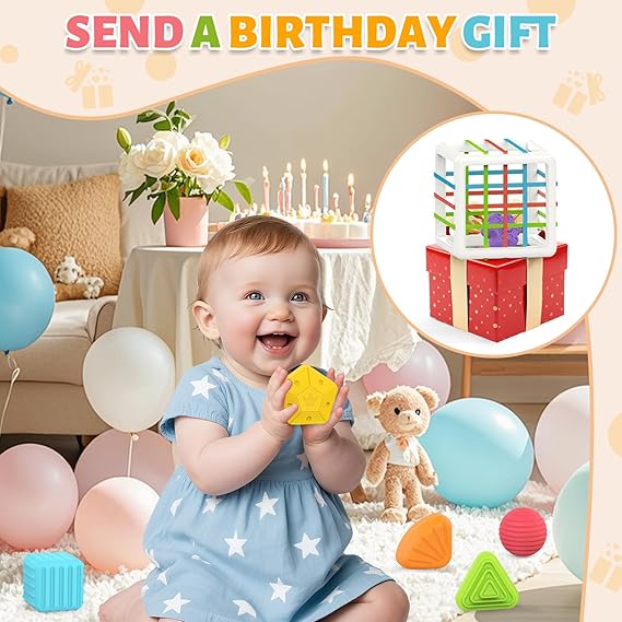 MINGKIDS Montessori Toys for 1 Year Old – 6 Pc Multi-Sensory Shape Sorter Set | Developmental Learning Toys & Birthday Gifts for Toddlers 12 Months+ nirvanaguru