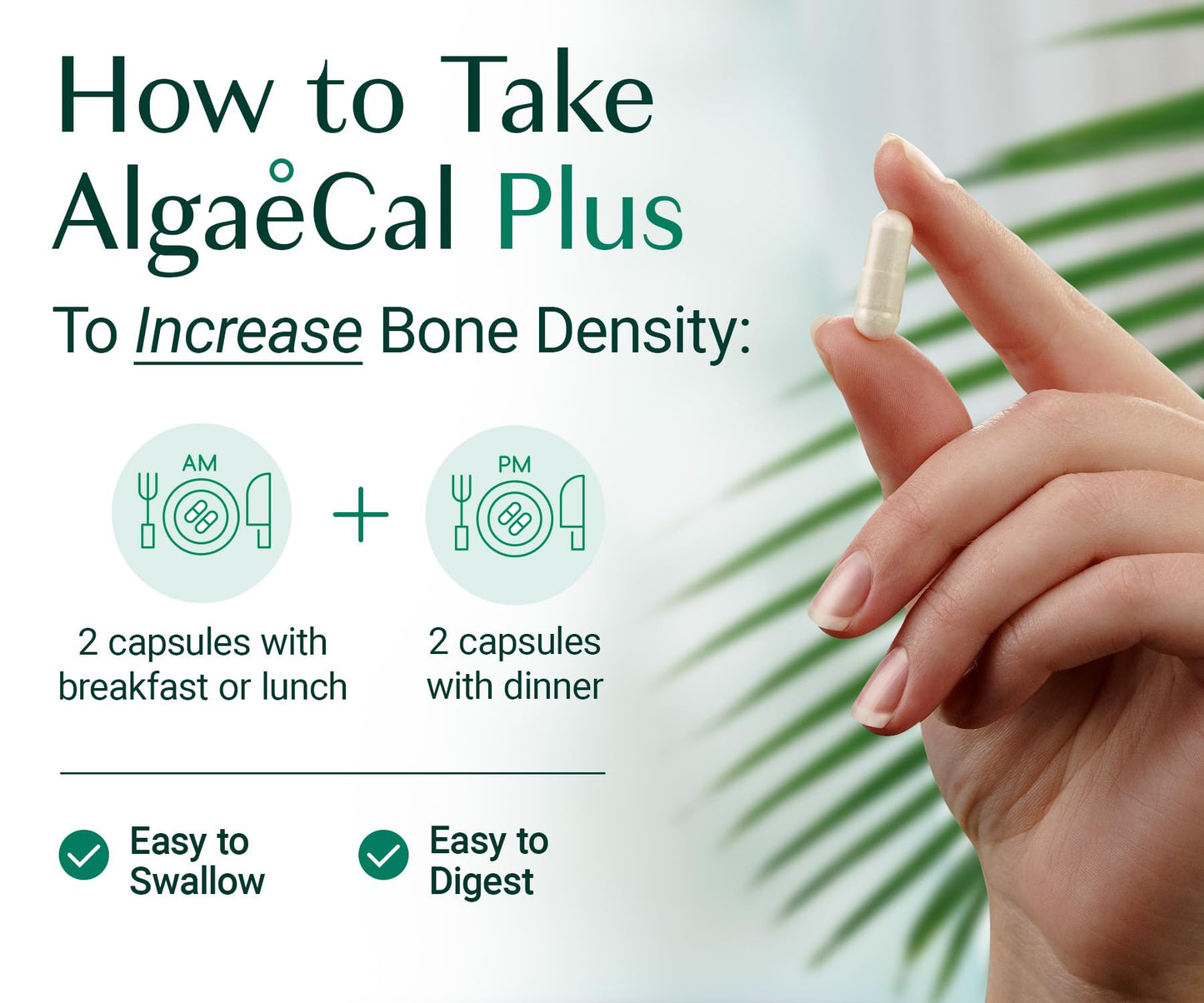 ALGAECAL Organic Red Algae Calcium Supplement for Bone Density, Vitamin K2 MK7 (100mg), Vitamin D3 (1600 IU), Magnesium (350mg) & Trace Minerals & Strength, Easy to Swallow, 120 Veggie Caps Nirvana Guru