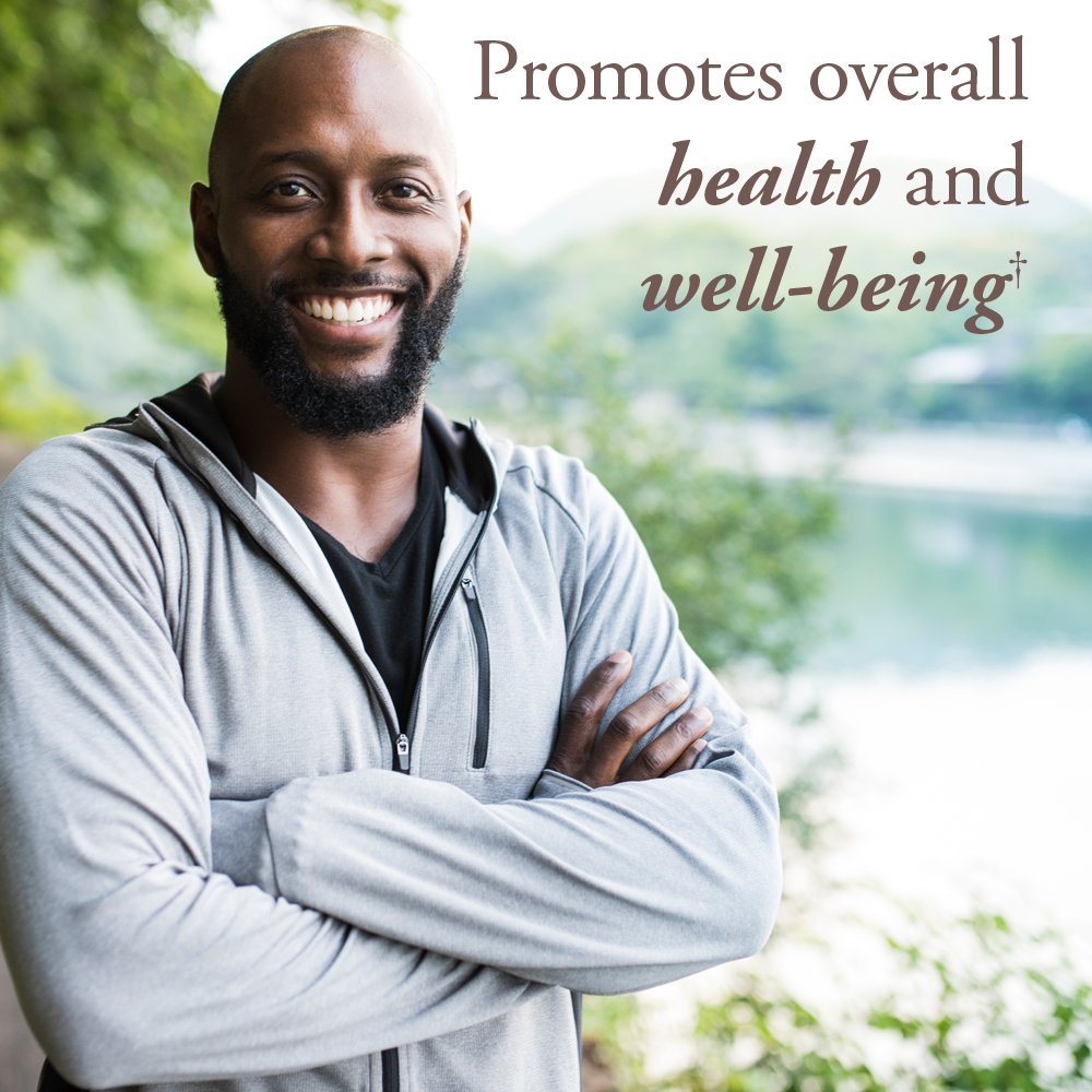 Garden of Life Organics Whole Food Multivitamin for Men 40+ 120 Tablets, Vegan Mens Multi for Health & Well-Being Certified Organic Whole Food Vitamins & Minerals for Men Over 40 Mens Vitamins - Nirvana Guru