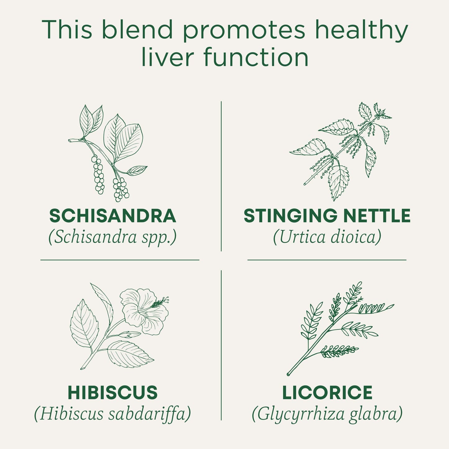 Traditional Medicinals Tea, Organic Roasted Dandelion Root, Supports Kidney Function & Healthy Digestion, 96 Tea Bags (6 Pack) - Nirvana Guru