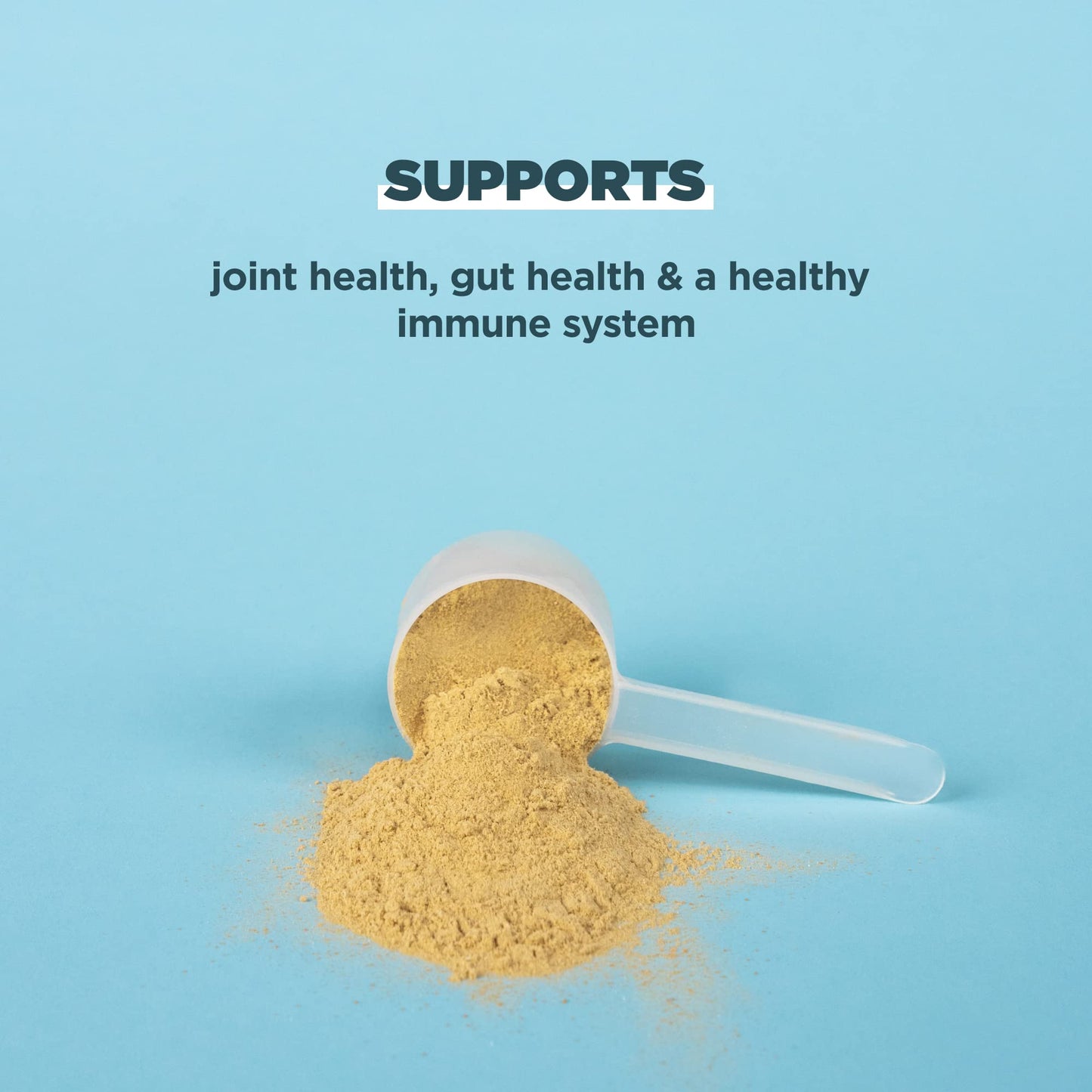 Ancient Nutrition Grass Fed, Cage Free, Bone Broth Protein Powder, 20g Protein, Hydrolyzed Collagen Peptides, Keto & Paleo Friendly, Supports Joint, Gut Health, Vanilla, 40 Servings - Nirvana Guru