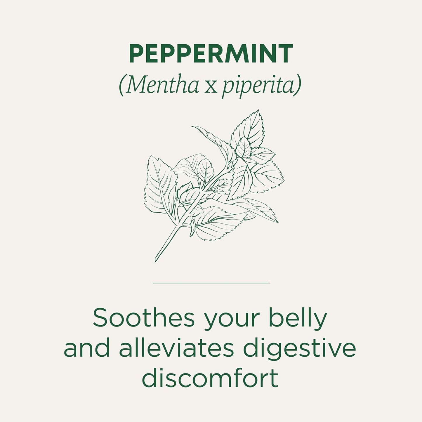 Traditional Medicinals Tea, Organic Peppermint, Soothes Your Belly, Refreshing & Minty, 96 Tea Bags (6 Pack) - Nirvana Guru