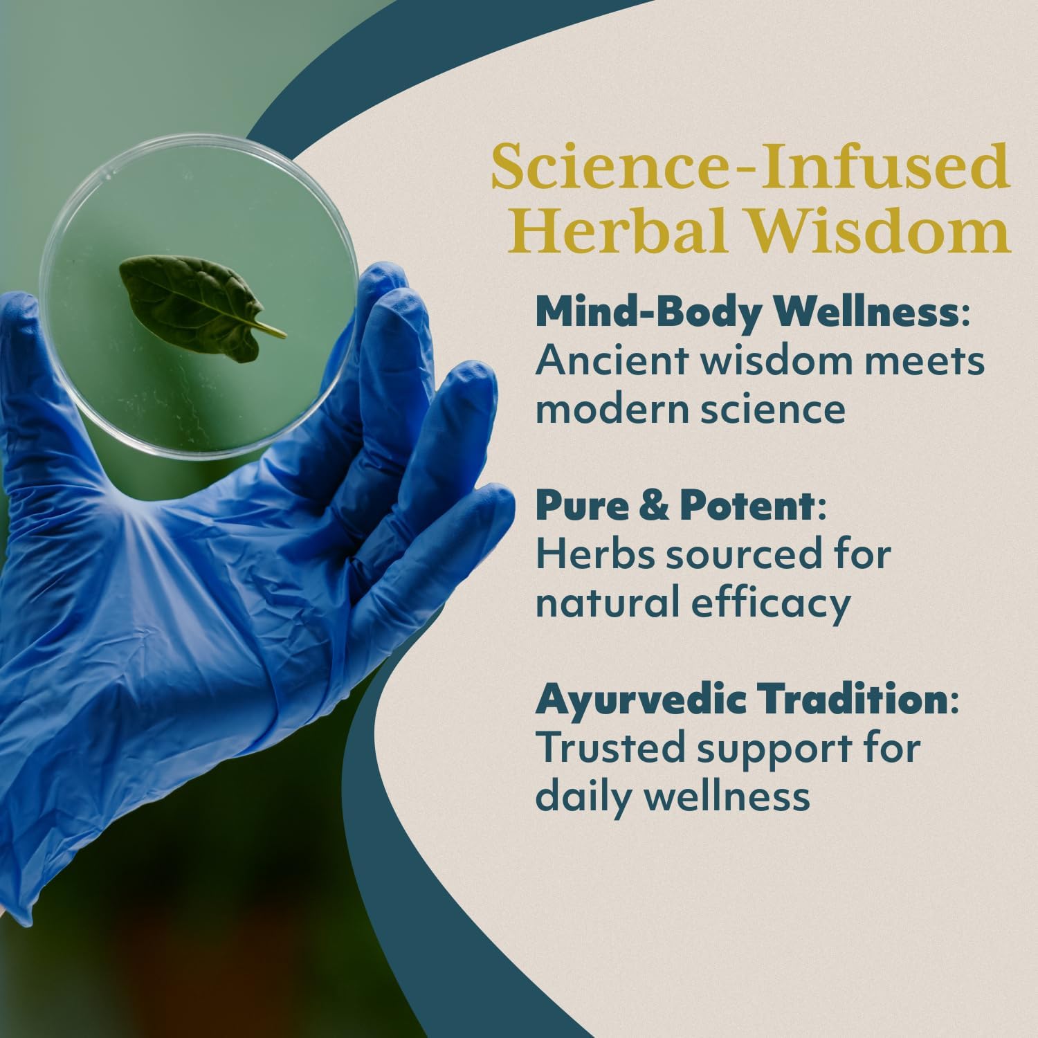 RUVED Wellness Jam with Amla, Enhanced Chanvanprash, Immune and Digestive Support, 10.6 oz Nirvana Guru