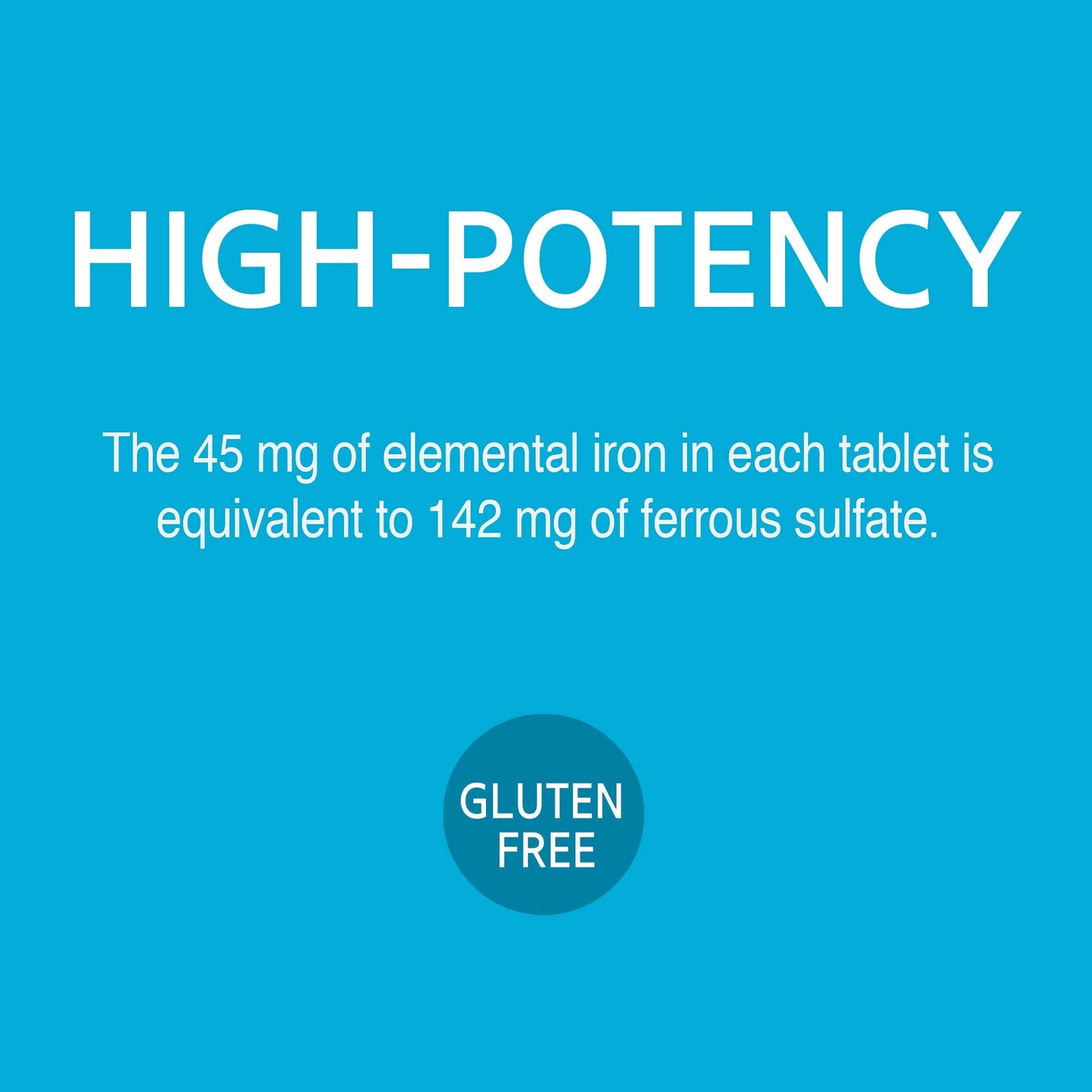 21st Century Slow Release Iron Tablets, 60 Count Nirvana Guru