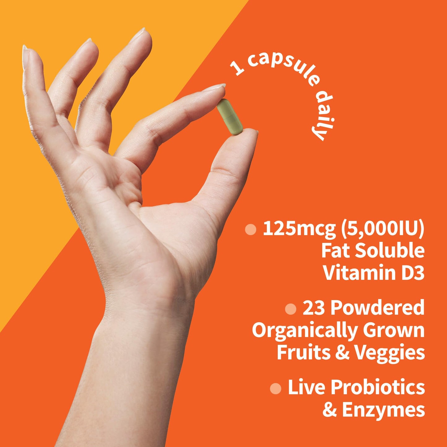 Garden of Life Vitamin D, Vitamin Code Raw D3, Vitamin D 5,000 IU, Raw Whole Food Supplements with Chlorella, Fruit, Veggies & Probiotics for Bone & Immune Health, 60 Vegetarian Capsules - Nirvana Guru