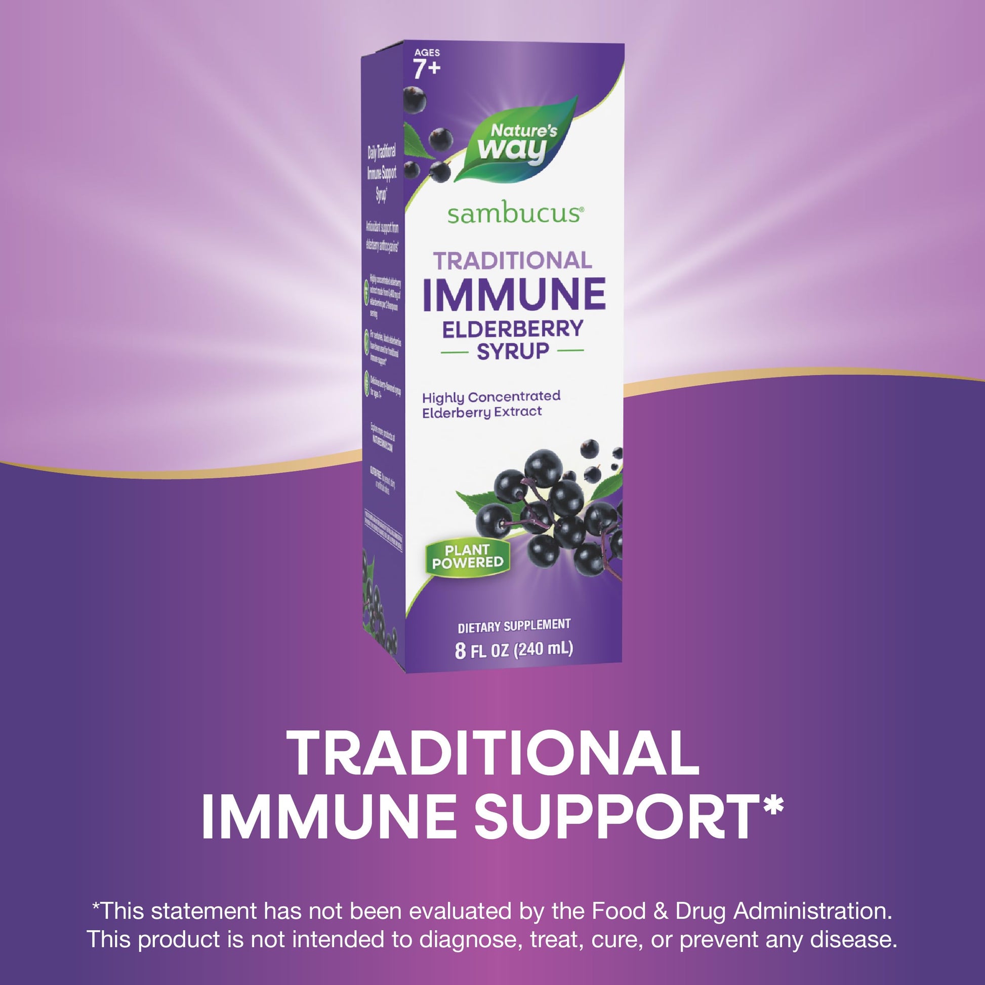 Nature’s Way Sambucus Elderberry Traditional Immune Syrup, Highly Concentrated Black Elderberry Extract, Traditional Immune Support*, Delicious Berry Flavored, 8 Fl Oz (Packaging May Vary) - Nirvana Guru