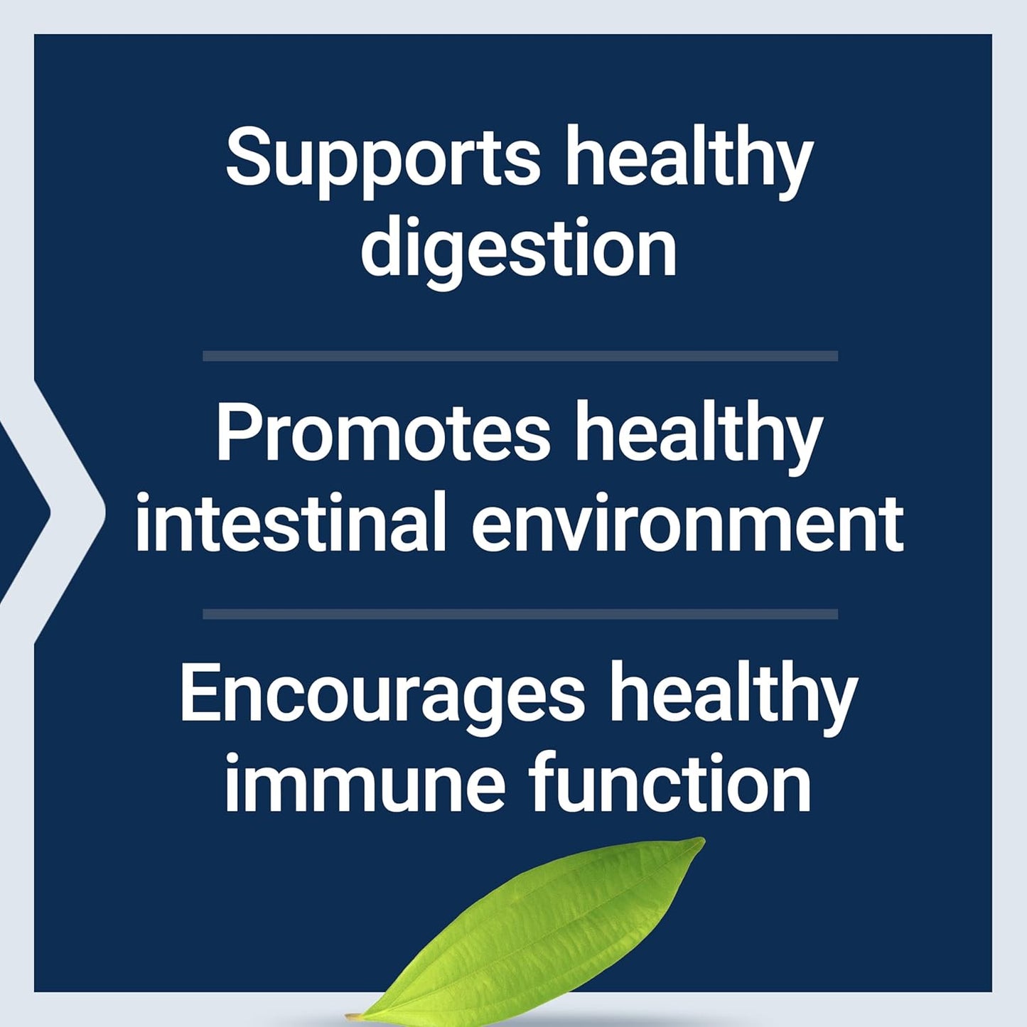Life Extension Bifido GI Balance, probiotics, Bifidobacterium longum BB536® (2 Billion CFU), Support Healthy Gut & Digestive Health, Gluten-Free, Non-GMO, Vegetarian, 60 Capsules - Nirvana Guru