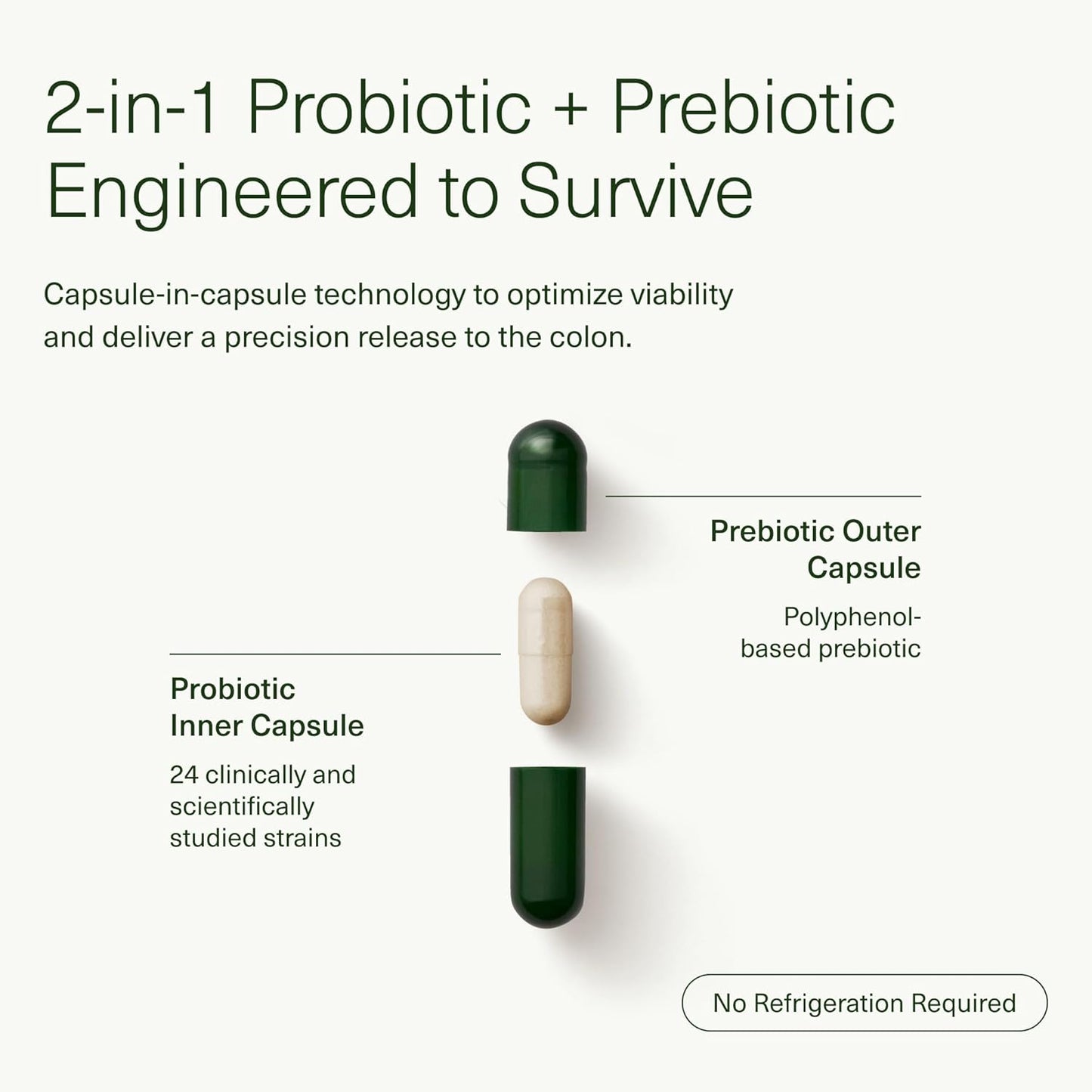 Seed 14 Day Gut Reset - Prebiotic and Probiotic for Women & Men - Digestive Health, Gut Health, Rapid Gut Recovery, Bloating & Constipation Relief - Vegan & Shelf-Stable - 28 Capsules (14-Day Supply) - Nirvana Guru