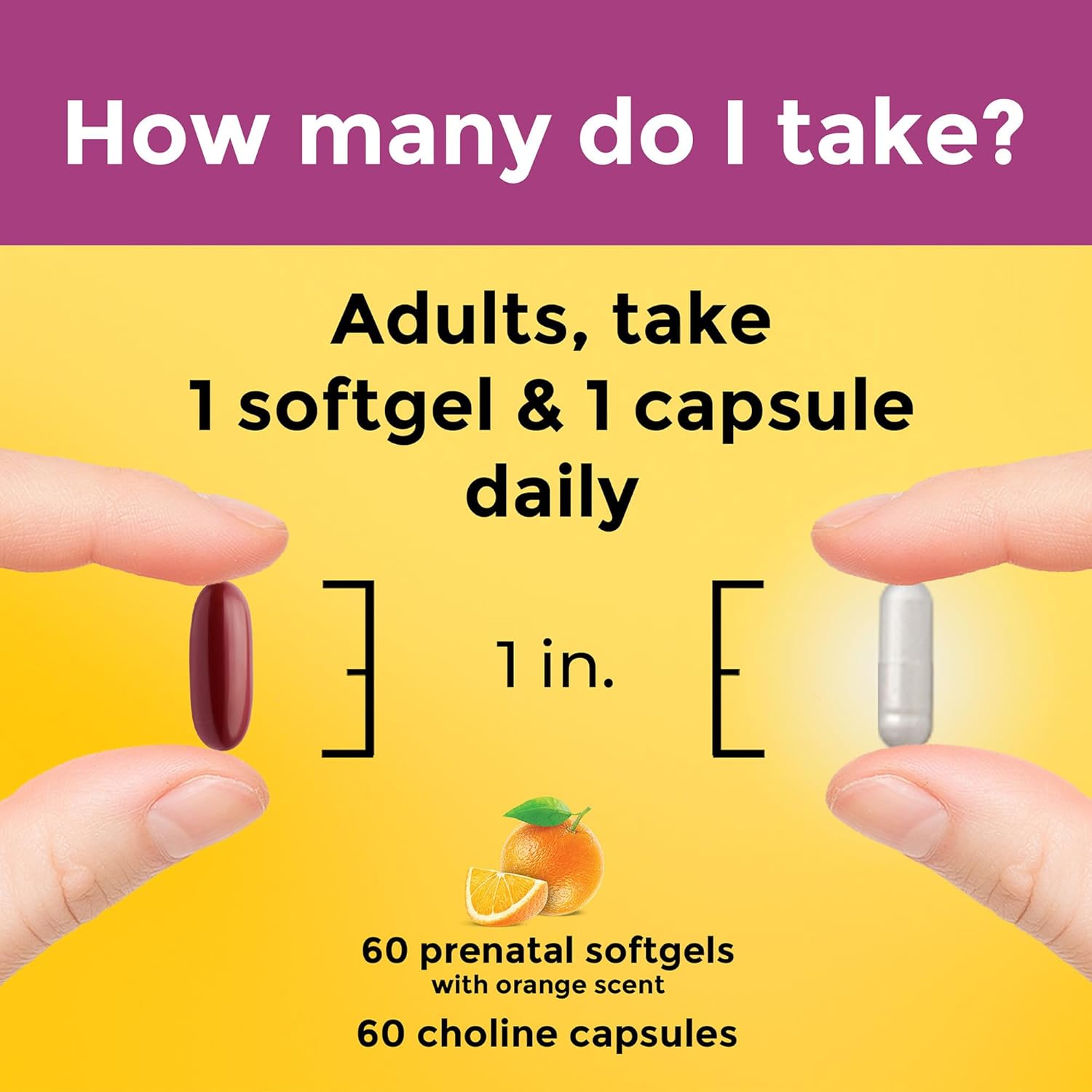 Nature Made Prenatal Vitamin Softgels + Choline Capsules, Folic Acid + DHA + Choline, 60 Prenatal Vitamins for Women, 60 Choline Supplements Capsules, 60 Day Supply - Nirvana Guru