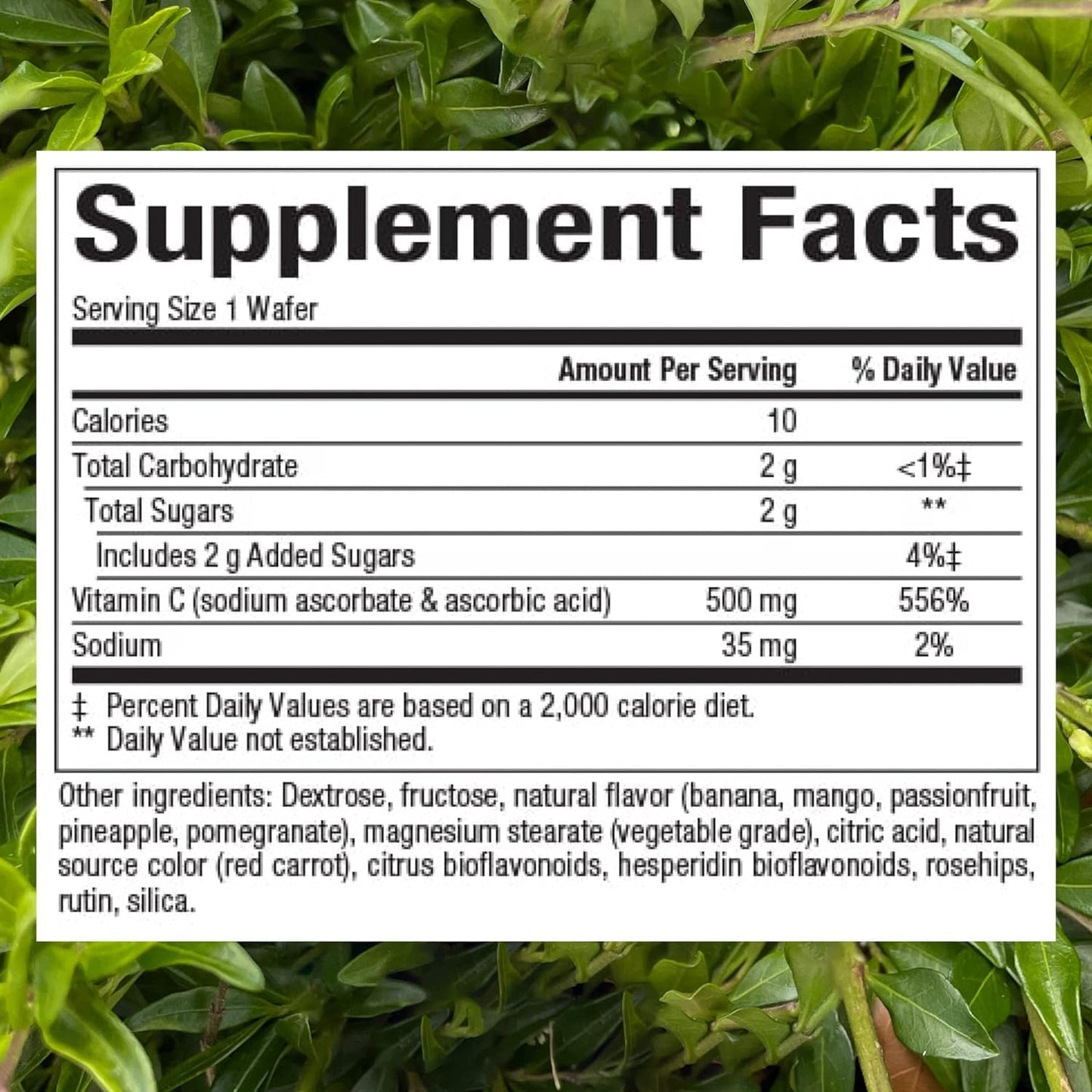 Natural Factors, Kids Chewable Vitamin C 500 mg, Supports Immune Health, Bones, Teeth and Gums, Tangy Orange, 180 Count (Pack of 1) - Nirvana Guru