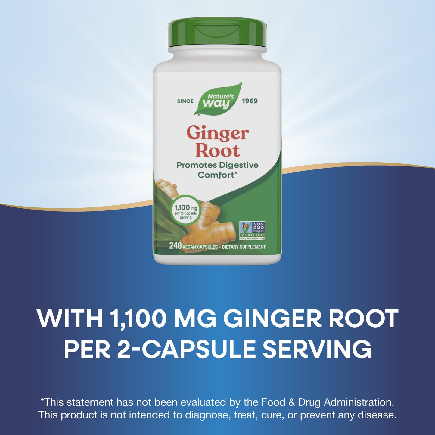 Nature's Way Ginger Root, Promotes Digestive Comfort*, Reduces Motion-Related Nausea*, 1,100 mg Per 2-capsule Serving, Non-GMO Project Verified, Vegan, 240 Capsules (Packaging May Vary) Nirvana Guru