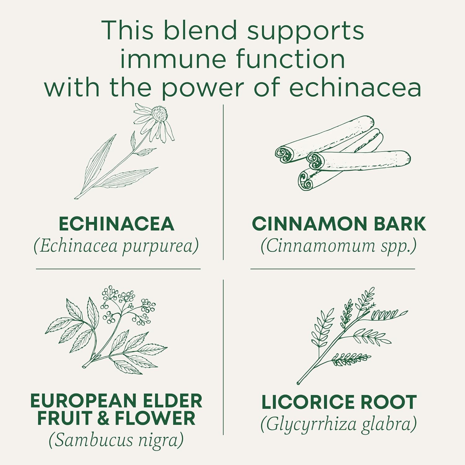 Traditional Medicinals Tea, Organic Immune Zoom Elderberry Echinacea, Supports Immune Function, 16 Tea Bags - Nirvana Guru