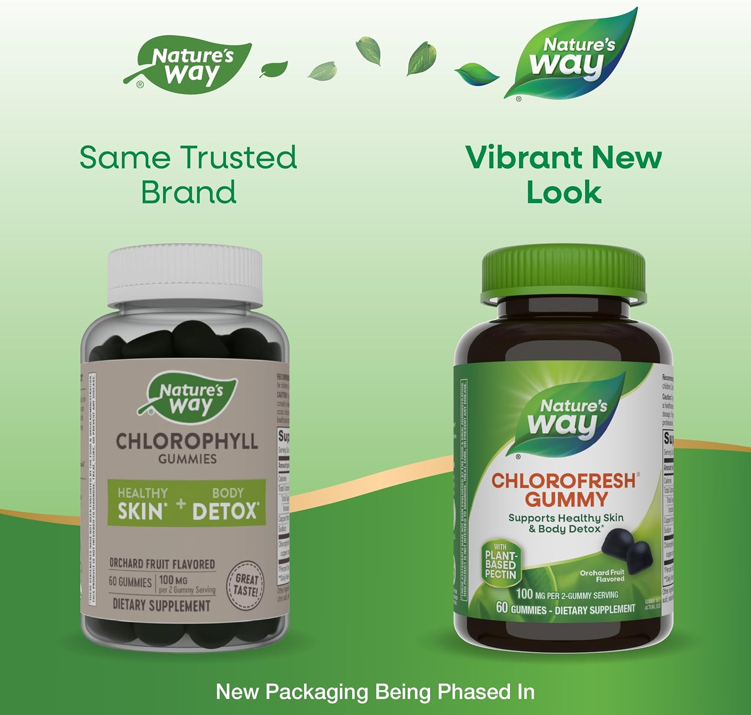 Nature’s Way Chlorofresh Chlorophyll Gummies, Supports Healthy Skin and Body Detox*, Internal Deodorant*, Orchard Fruit Flavored, 60 Gummies (Packaging May Vary) - Nirvana Guru