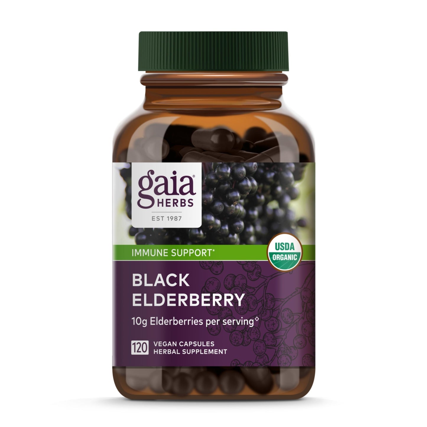 Gaia Herbs Black Elderberry - Daily Immune Support Supplement to Help Maintain Well-Being- with Black Elderberries and Acerola Fruit for Antioxidant Support - 120 Vegan Capsules (60-Day Supply) - Nirvana Guru