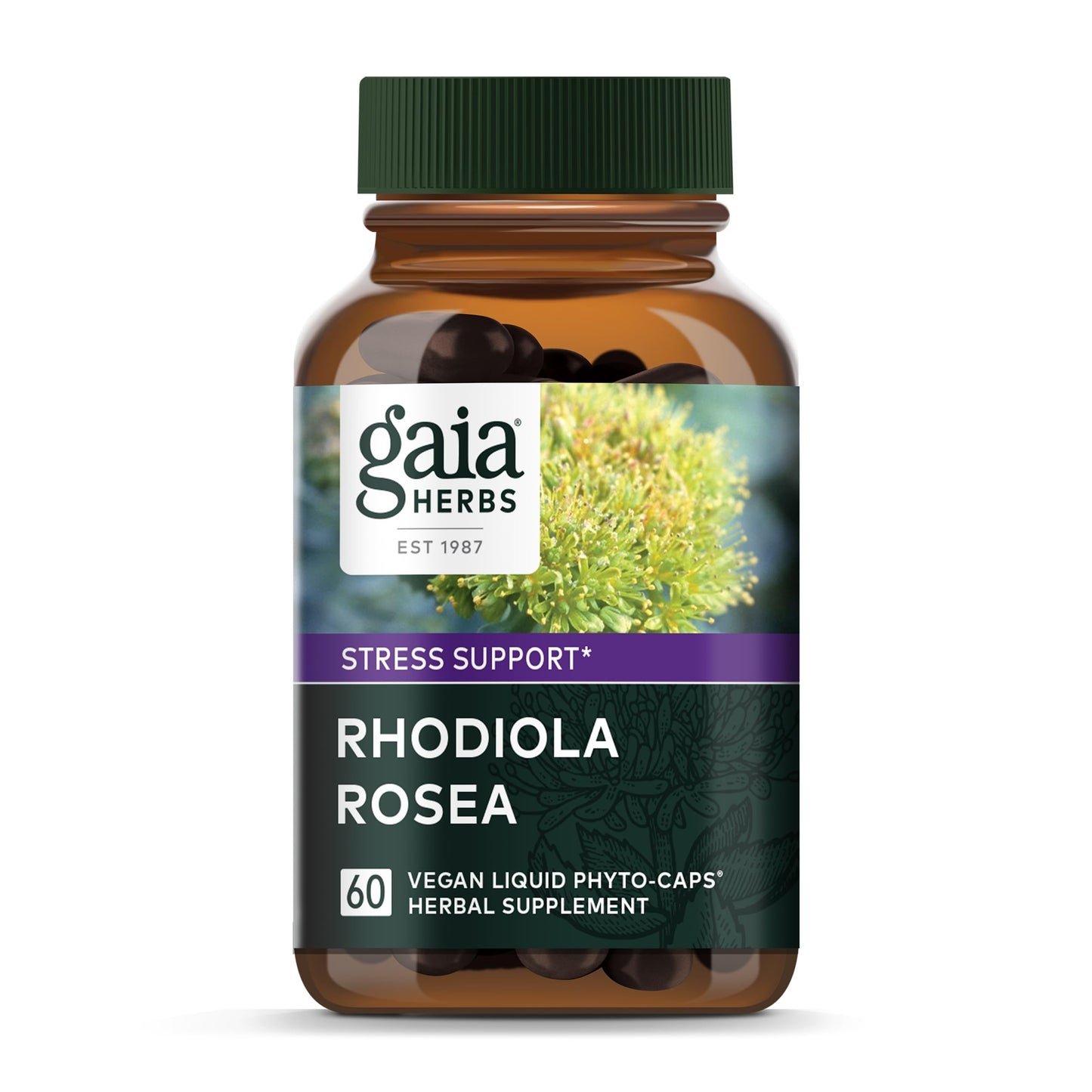 Gaia Herbs Rhodiola Rosea - Stress Support Supplement Traditionally for Supporting Healthy Stamina and Endurance - with Siberian Rhodiola Root Extract - 60 Vegan Liquid Phyto-Capsules (30-Day Supply) - Nirvana Guru
