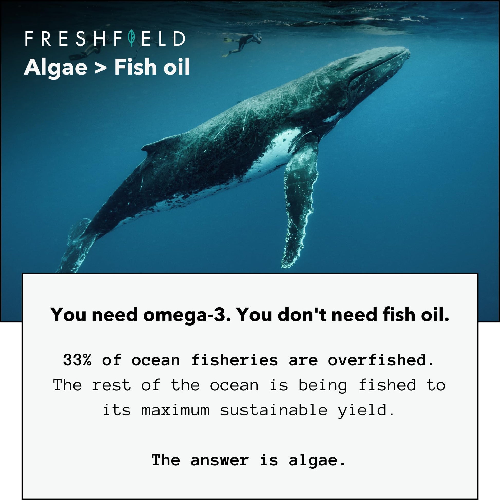 Freshfield Vegan Omega 3 DHA: Algae Oil, Most Reviewed, Carrageenan Free, Sustainably Sourced, Tested, No Heavy Metals, Fish Oil Alt, Plant Based Omega. Supports Heart, Brain, Joint Health w/DPA Nirvana Guru