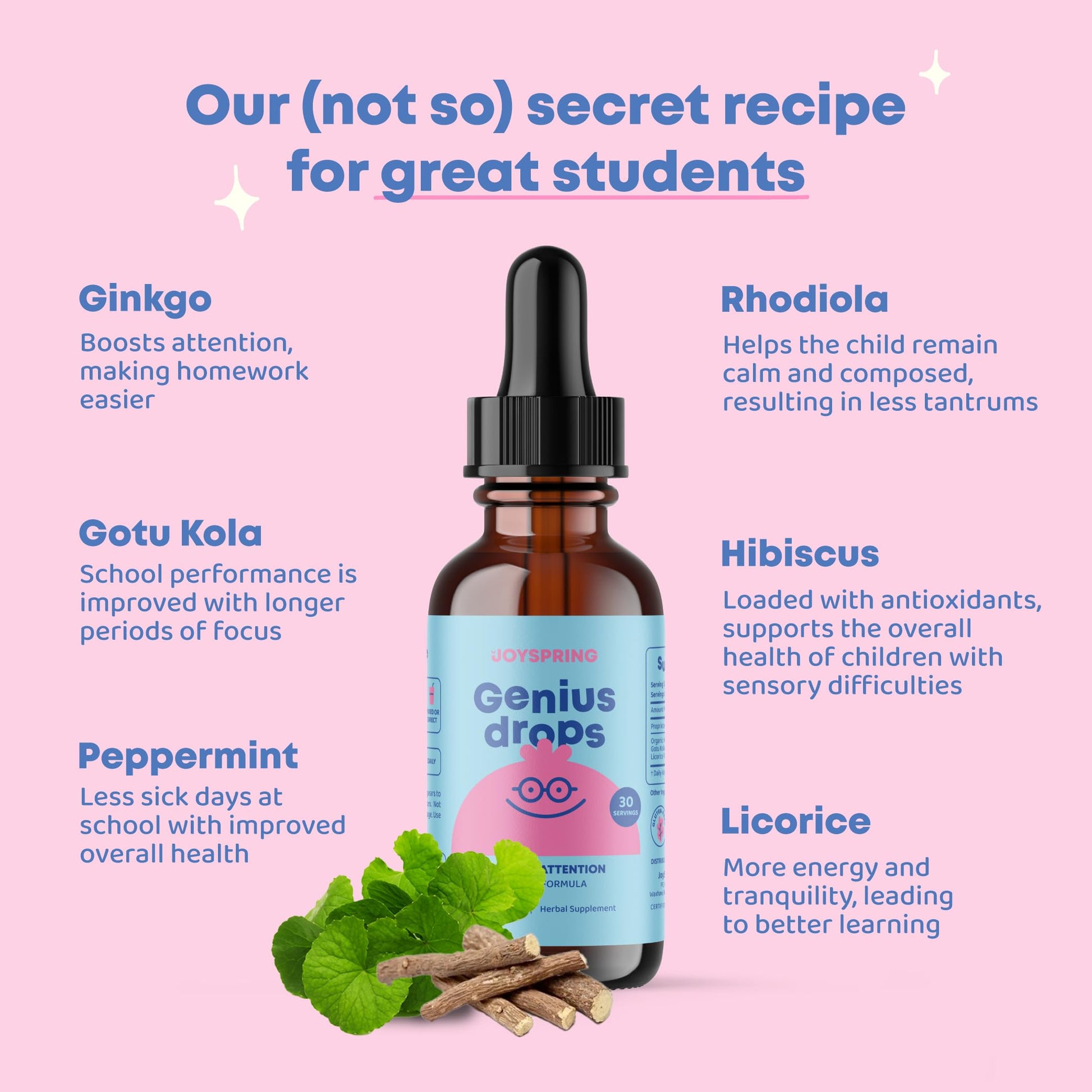 JoySpring Genius Drops for Kids | Clinically Proven Focus Supplement | Liquid Herbal Focus Supplement with Ginkgo Biloba for Kids (1 fl oz) 30 Servings Nirvana Guru