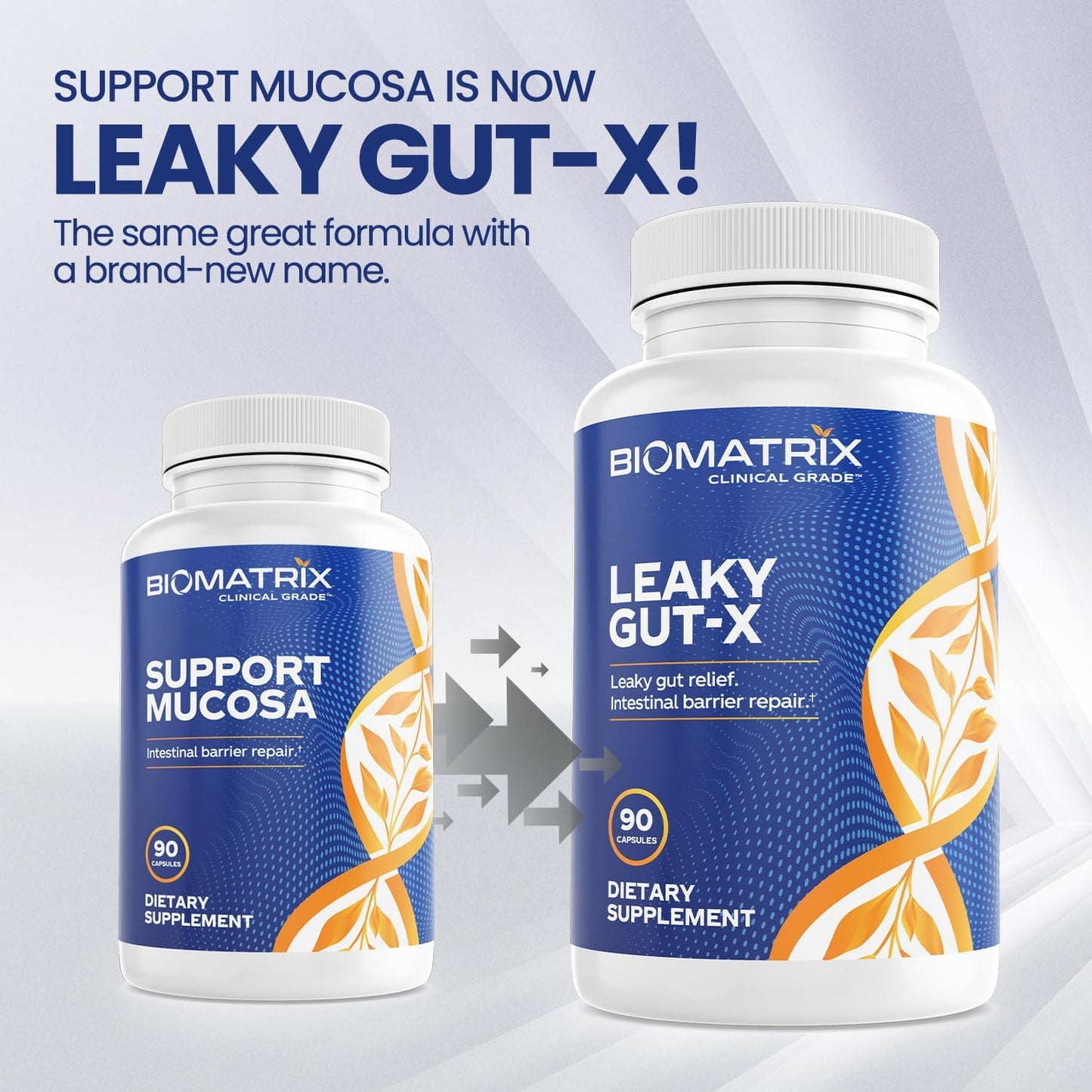 Intestinal Repair Supplement with Glutamine and Herbs for Leaky Gut, Prebiotic Support, Relief from Bloating, Gas, Constipation | SIBO | Veggie Caps | 60-Day Supply – Leaky Gut-X Nirvana Guru