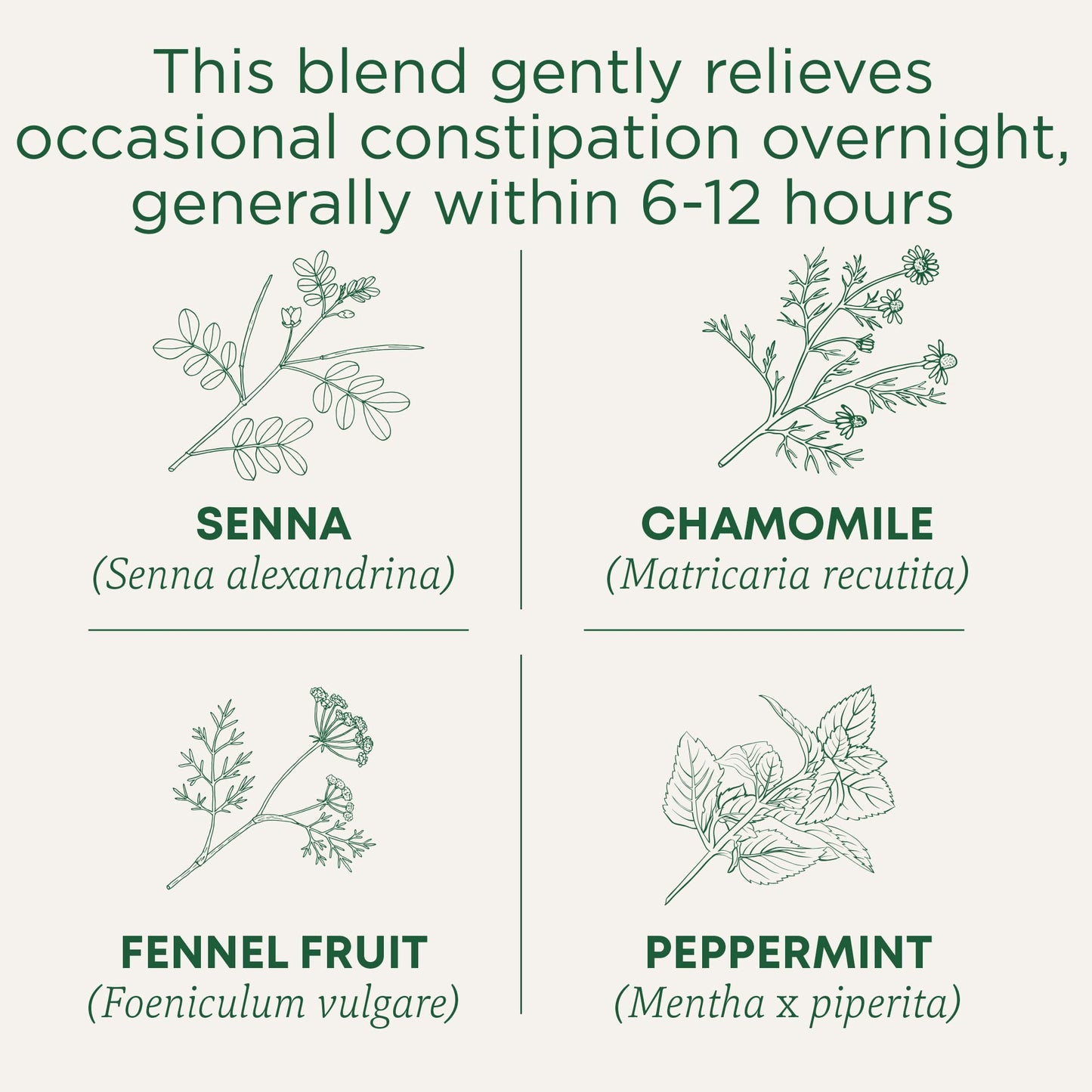 Traditional Medicinals Tea, Organic Smooth Move Peppermint, Relieves Occasional Constipation, Senna, 16 Tea Bags - Nirvana Guru