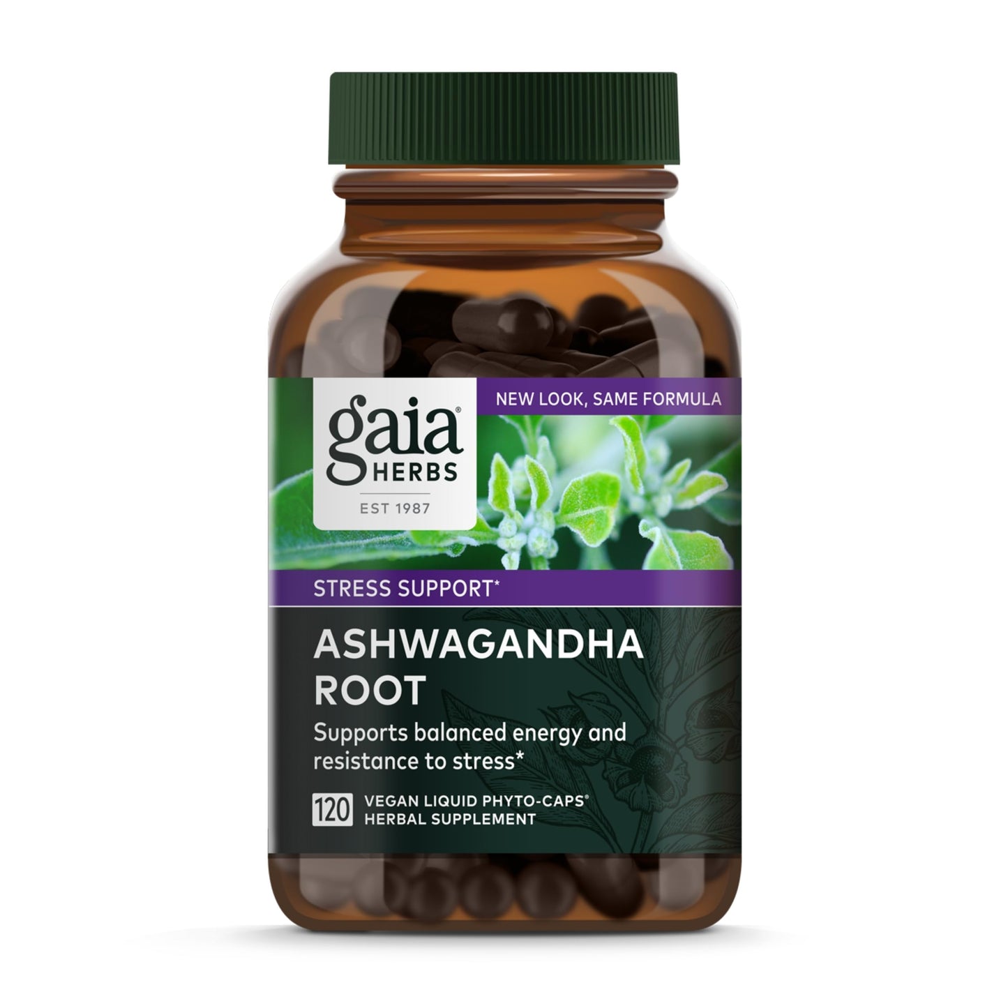Gaia Herbs Ashwagandha Root - Stress Relief & Immune Support Supplement - Supports Balanced Energy Levels and Positive Outlook - 120 Vegan Liquid Phyto Capsules (1 Pack) Nirvana Guru