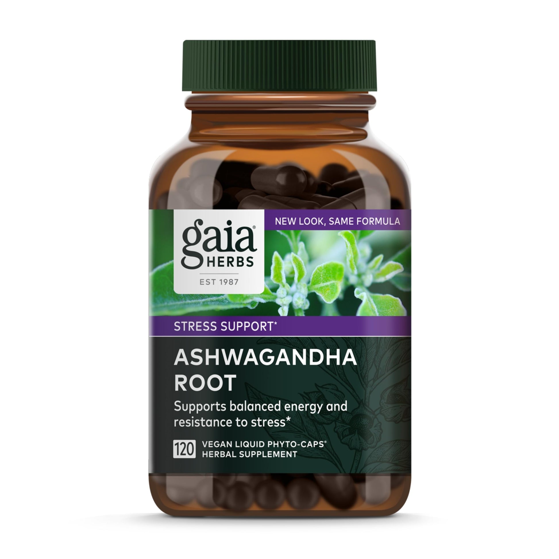 Gaia Herbs Ashwagandha Root - Stress Relief & Immune Support Supplement - Supports Balanced Energy Levels and Positive Outlook - 120 Vegan Liquid Phyto Capsules (1 Pack) Nirvana Guru