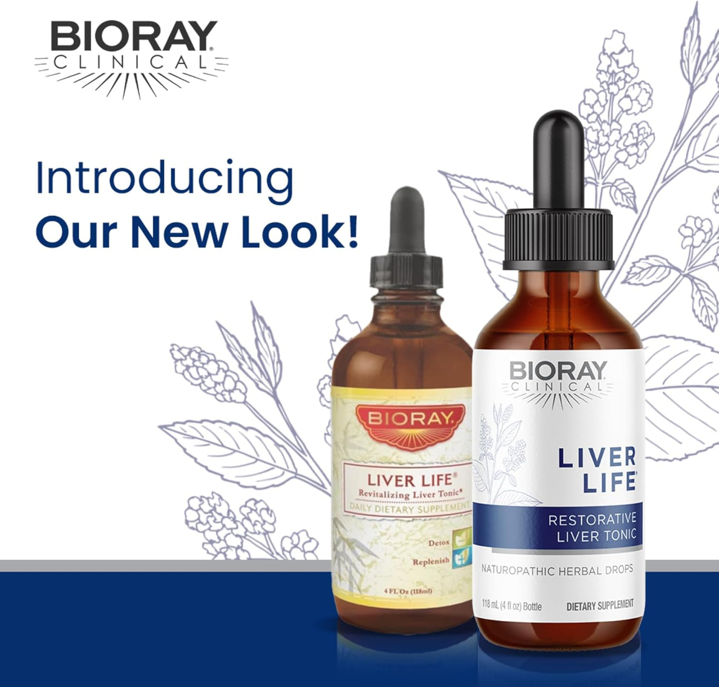 BIORAY Clinical Liver Life - 4 fl oz - Strengthens Liver Structure & Function - Non-GMO, Vegetarian, Gluten Free Nirvana Guru
