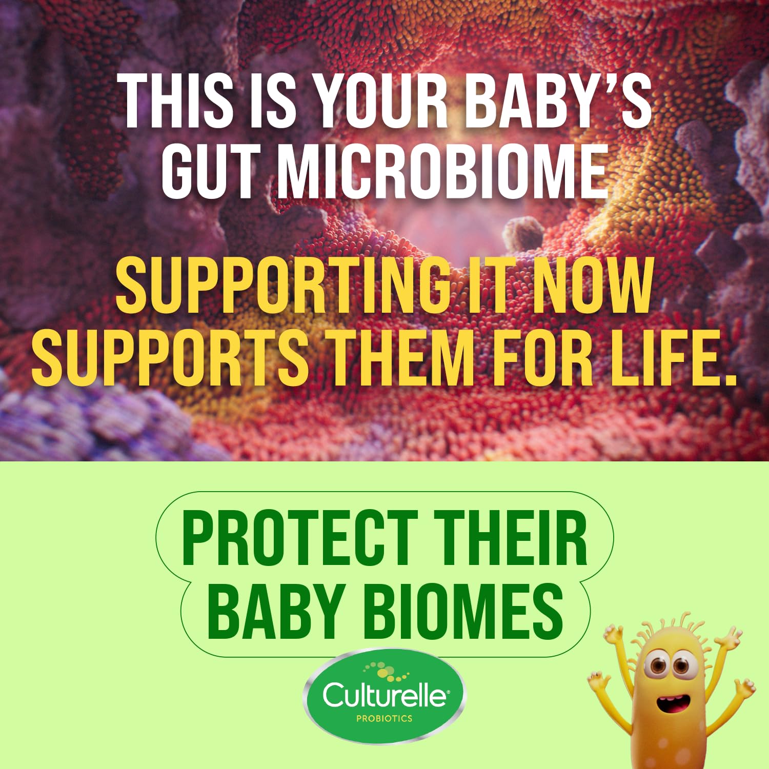 Culturelle Baby Digestive Calm & Comfort Probiotic (Age 0-12 Mos) 8.5Ml, Helps Periodic Colic, Gas, Fussiness, Crying & Digestive Upset In Infants & Newborns, Vegan Non-Gmo Gluten-Free, 1 Mos. Supply Nirvana Guru