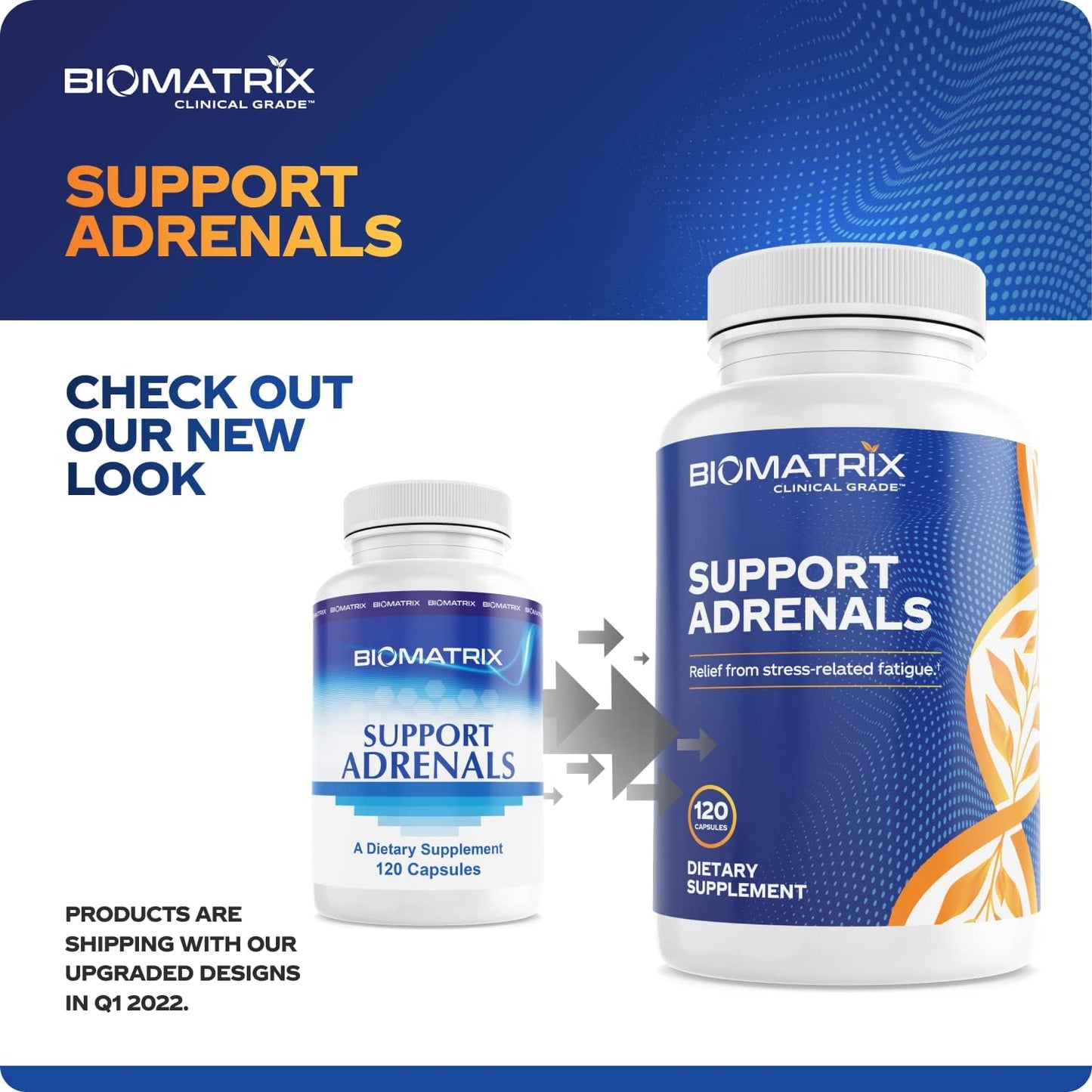 Adrenal Fatigue Supplement, Cortisol Manager, 5-MTHF, B Vitamins, Vitamin C, Adaptogens, Bioflavonoids, DHEA, Inositol, 30-60 Day Supply | 120 Veggie Caps Nirvana Guru
