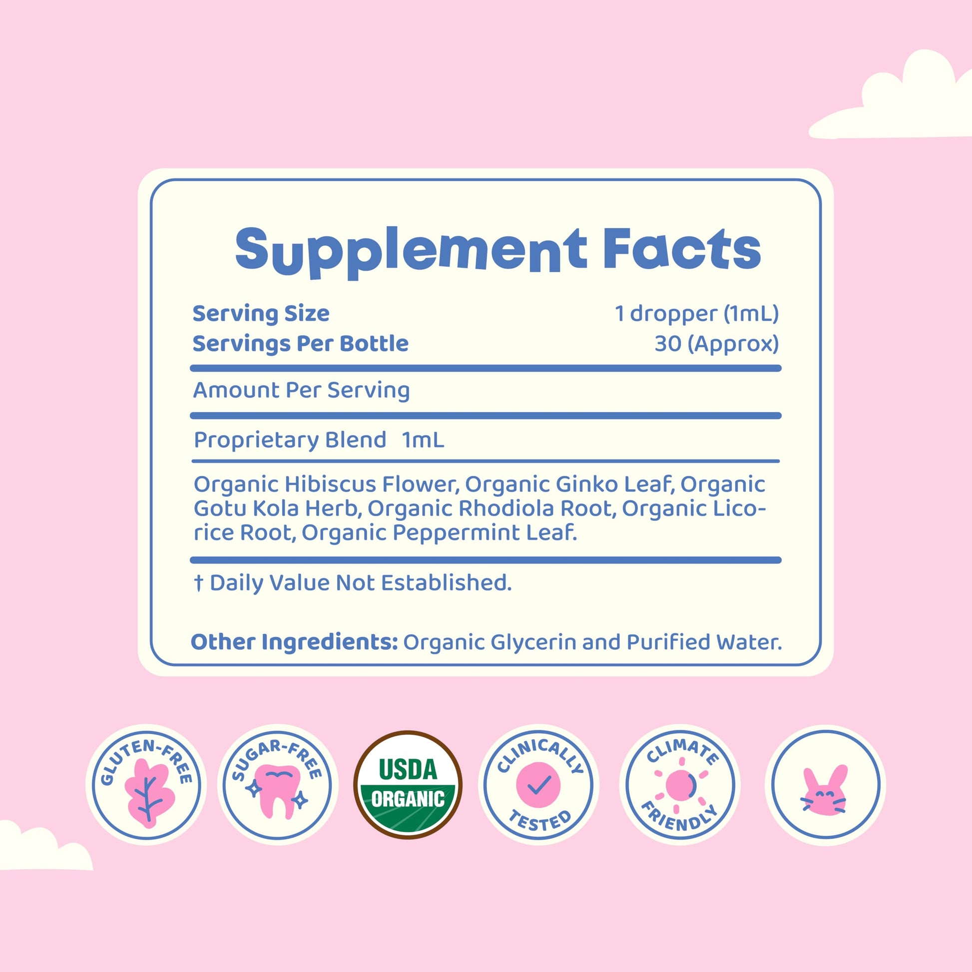 JoySpring Genius Drops for Kids | Clinically Proven Focus Supplement | Liquid Herbal Focus Supplement with Ginkgo Biloba for Kids (1 fl oz) 30 Servings Nirvana Guru