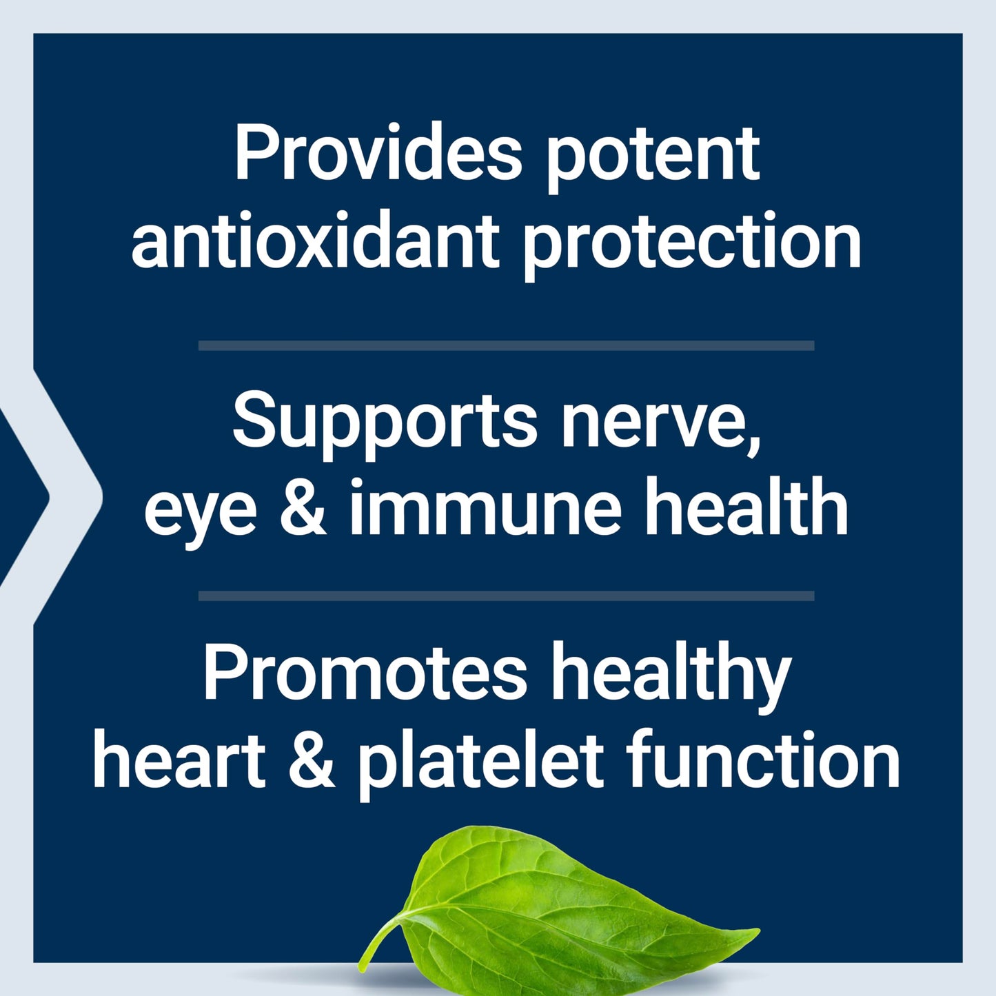 Life Extension Gamma E Mixed Tocopherols & Tocotrienols – Complete Vitamin E Spectrum, Antioxidant Protection – Non-GMO, Gluten-Free – 60 Softgels Nirvana Guru
