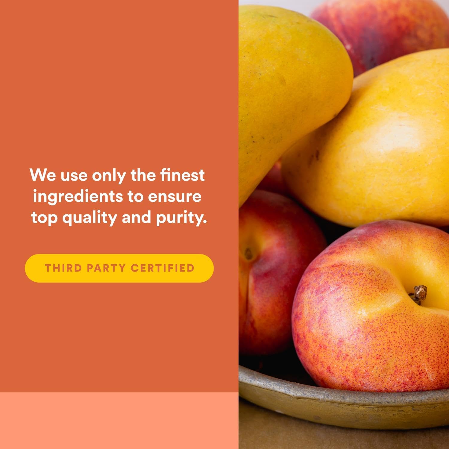 Natural Factors, Kids Chewable Vitamin C 500 mg, Supports Immune Health, Bones, Teeth and Gums, Tangy Orange, 180 Count (Pack of 1) - Nirvana Guru