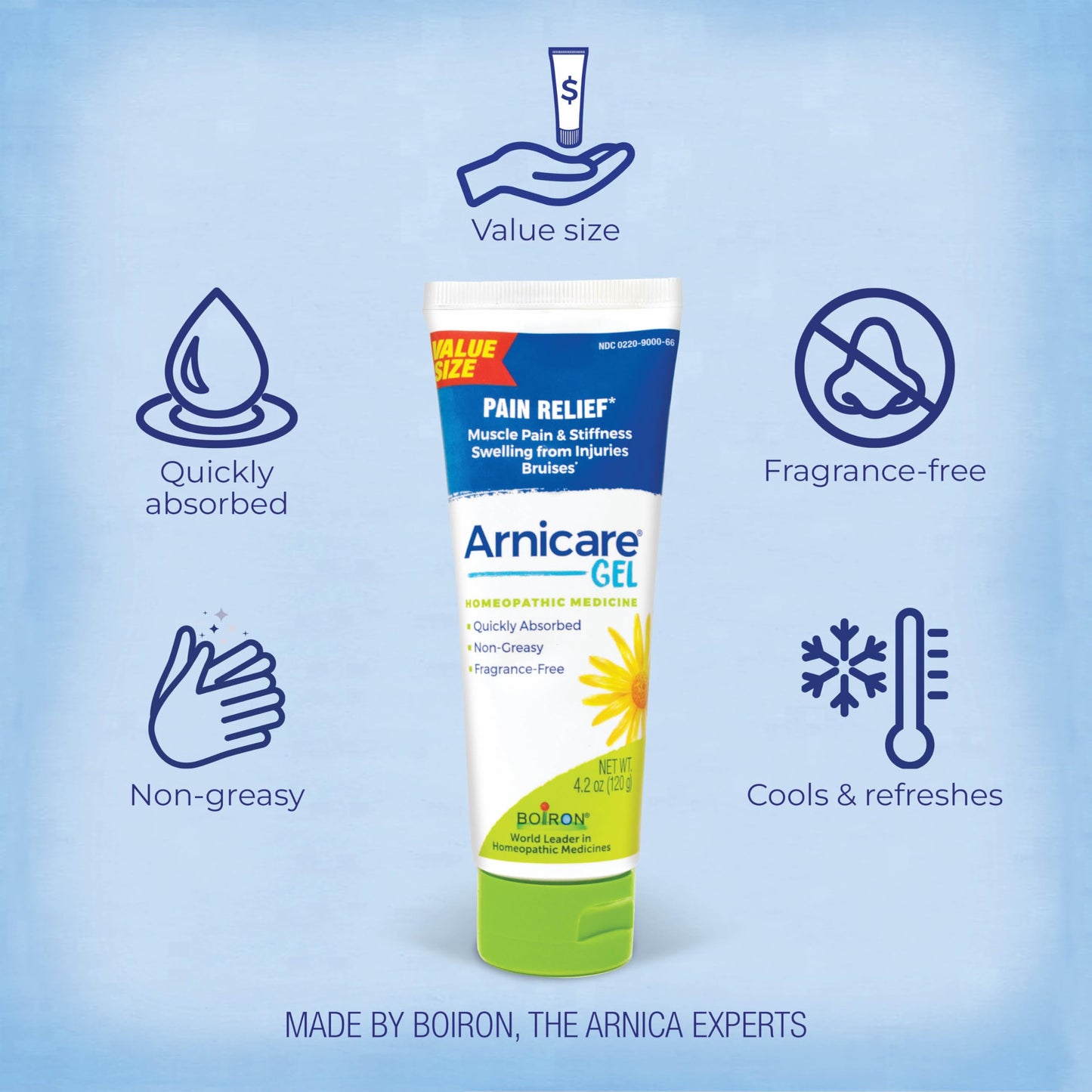 Boiron Arnicare Gel for Relief of Joint Pain, Muscle Pain, Muscle Soreness, and Swelling from Bruises or Injury - Non-greasy and Fragrance-Free - 2.6 oz