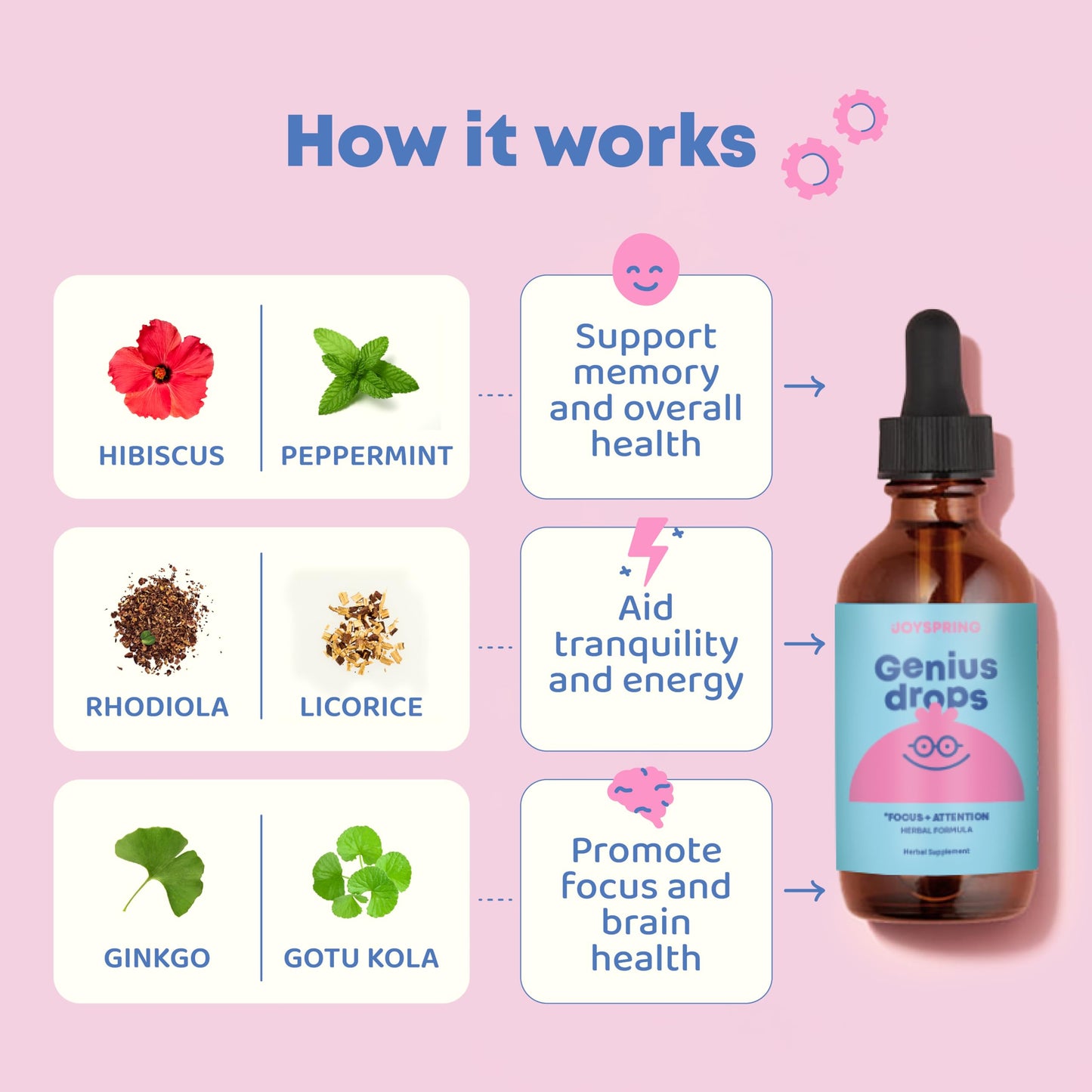 JoySpring Genius Drops for Kids | Clinically Proven Focus Supplement | Liquid Herbal Focus Supplement with Ginkgo Biloba for Kids (1 fl oz) 30 Servings Nirvana Guru