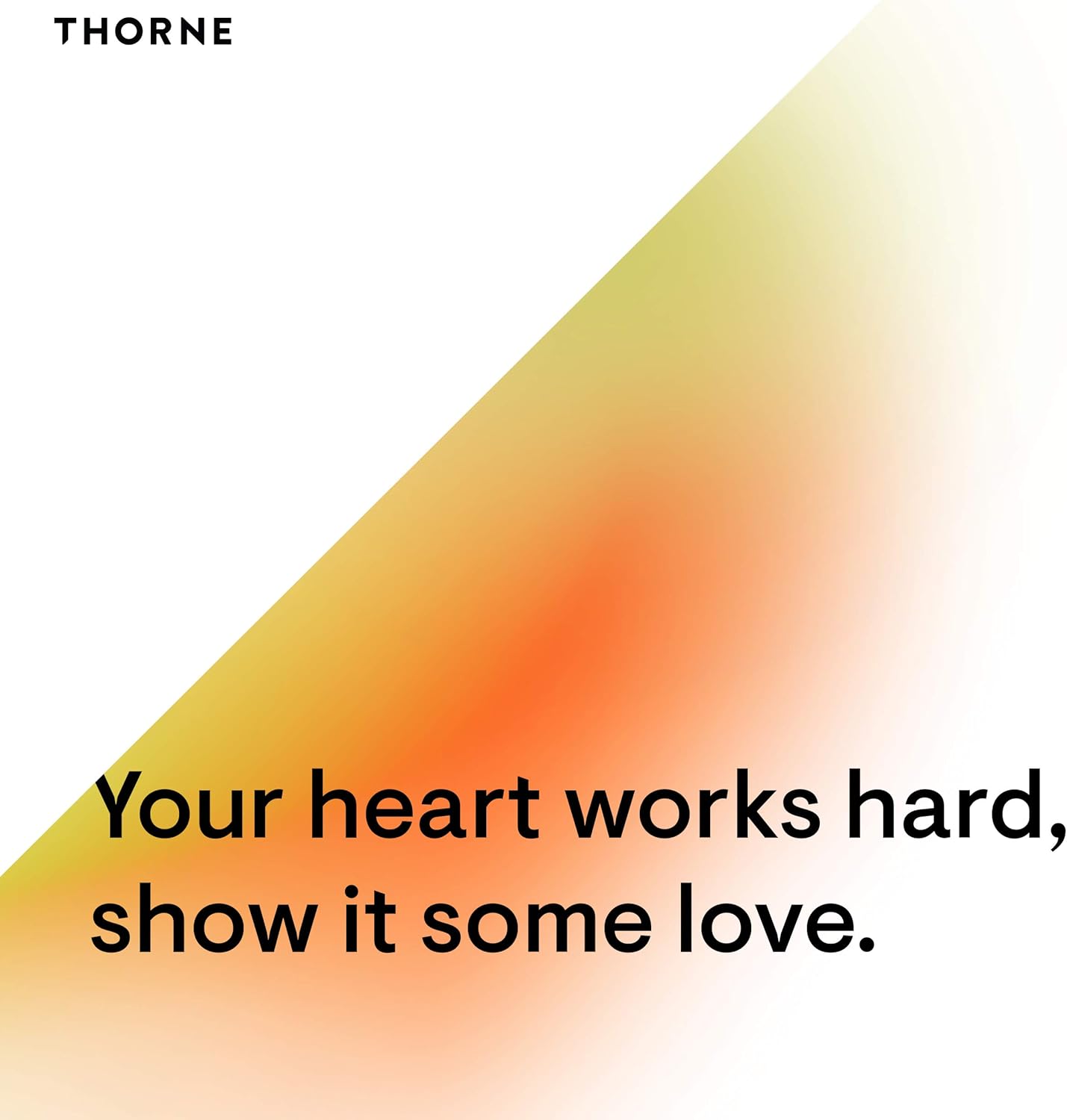 THORNE Red Yeast Rice + CoQ10 - Maintain Healthy Cholesterol Levels and Supports Cardiovascular Health* - Gluten-Free, Dairy-Free - 120 Capsules - Nirvana Guru