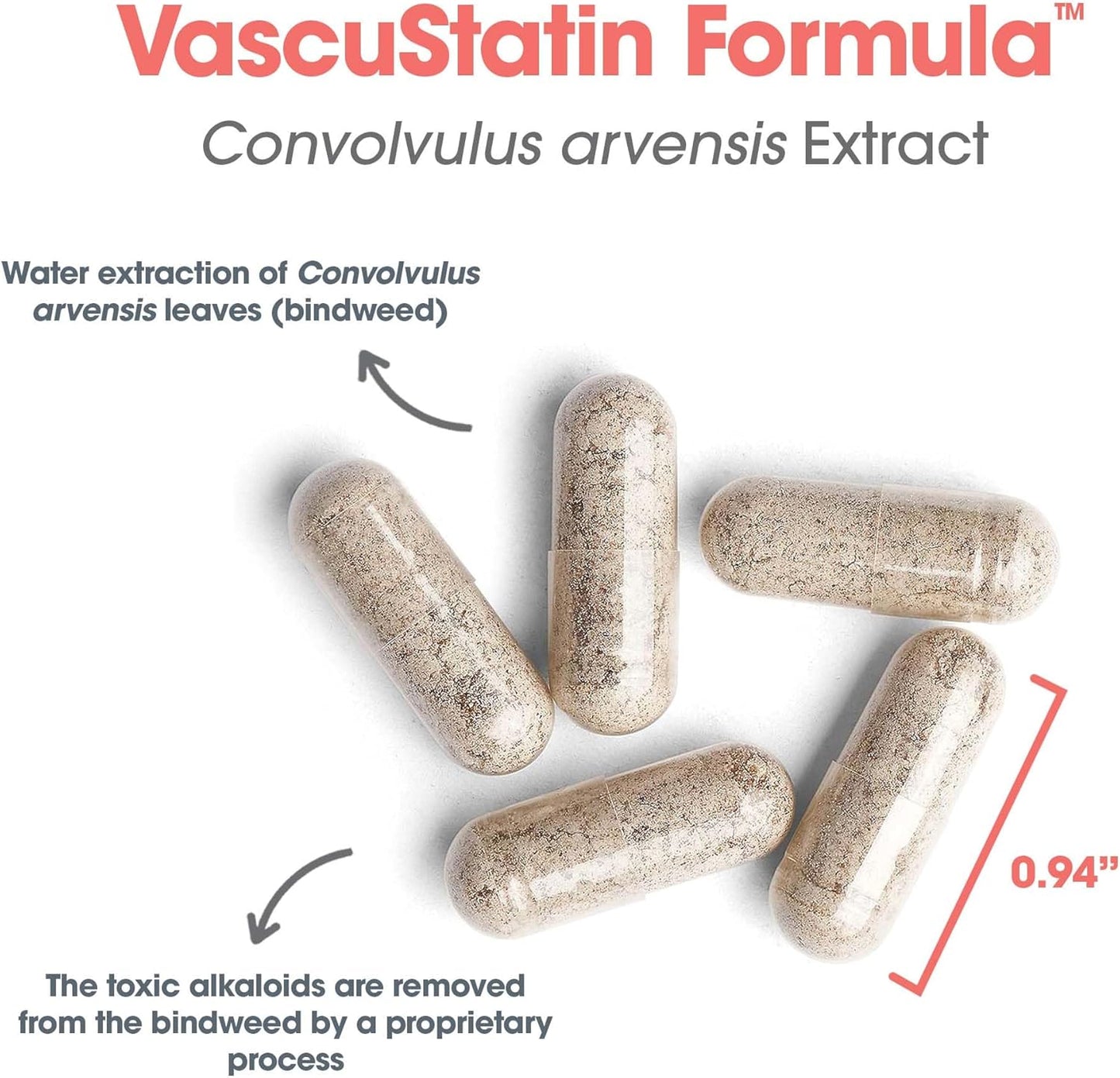Allergy Research Group VascuStatin Formula Dietary Supplement - Convolvulus arvensis Extract, Healthy Vascularization Function, Phagocytic Activity, Lymphocyte Production - 120 Count Nirvana Guru