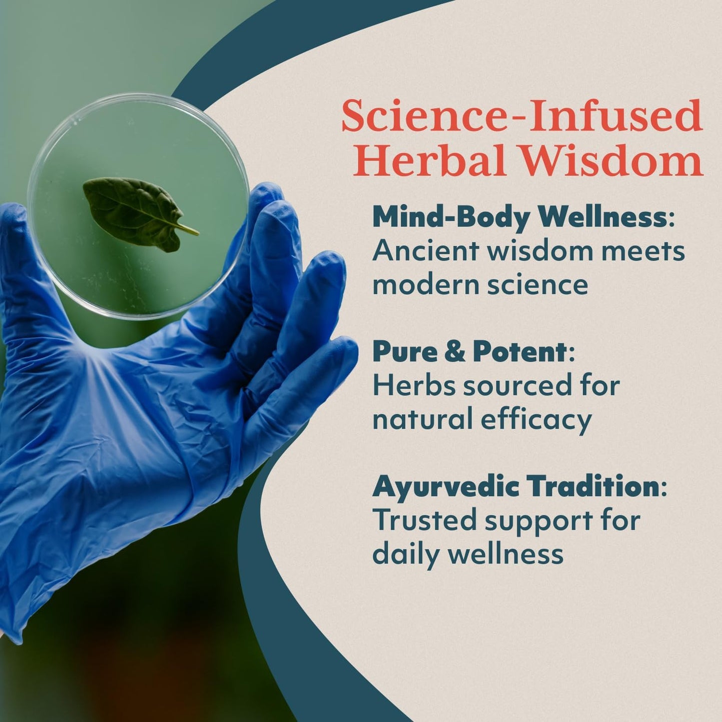 Ruved Guggul Power Herbal Supplement for Ayurvedic Cholesterol Support, Red Yeast Rice, Bergamot, Guggul, and Amla Supplement for Women and Men, 60 Vegetarian Capsules Nirvana Guru