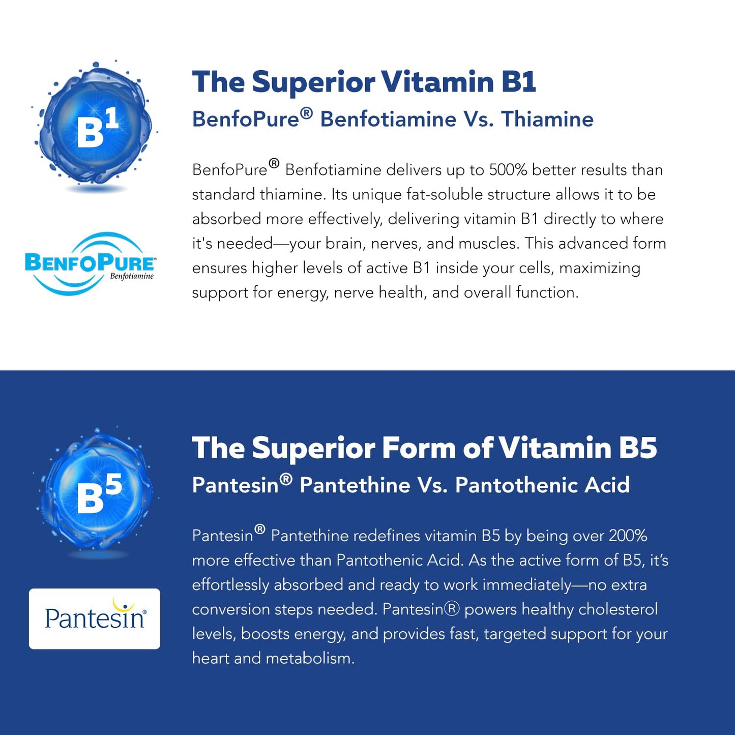 BioActive Vitamin B Complex - Blood Stream Ready, Methylated B Complex - Featuring Methylfolate, 3 BioActive Forms of B12, BenfoPure® B1 & Pantesin® B5 - 12 B Vitamins in Clinical Doses - 60 Servings Nirvana Guru