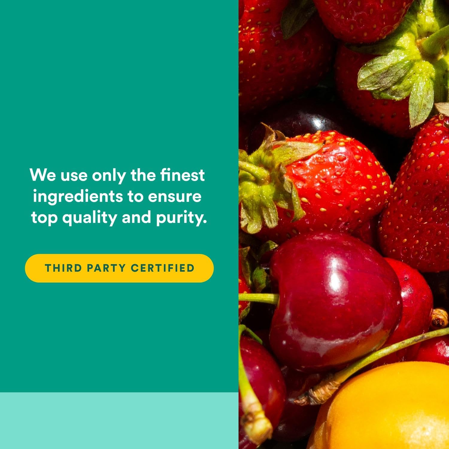 Natural Factors, Kids Chewable Vitamin C 500 mg, Supports Immune Health, Bones, Teeth and Gums, Tangy Orange, 180 Count (Pack of 1) - Nirvana Guru