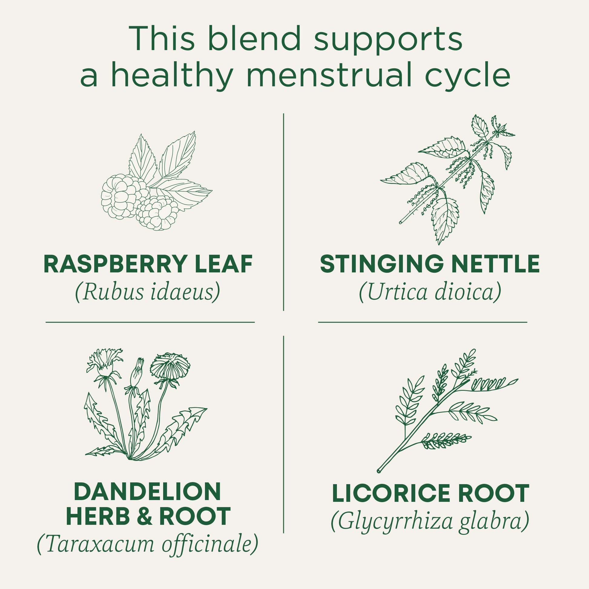 Traditional Medicinals Tea, Organic Healthy Cycle, Supports Healthy Menstrual Cycles, Includes Spearmint,16 Tea Bags - Nirvana Guru