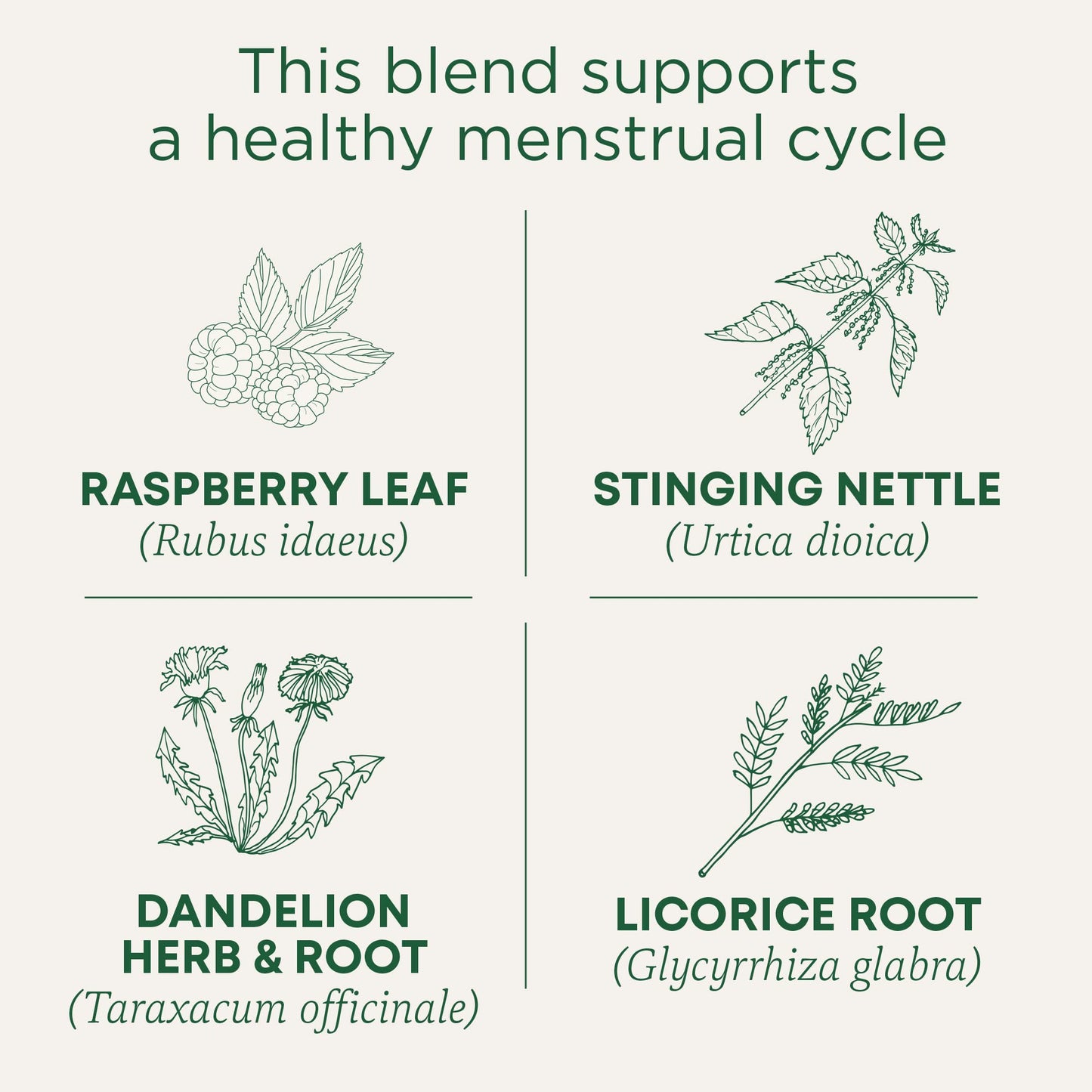 Traditional Medicinals Tea, Organic Healthy Cycle, Supports Healthy Menstrual Cycles, Includes Spearmint,16 Tea Bags - Nirvana Guru