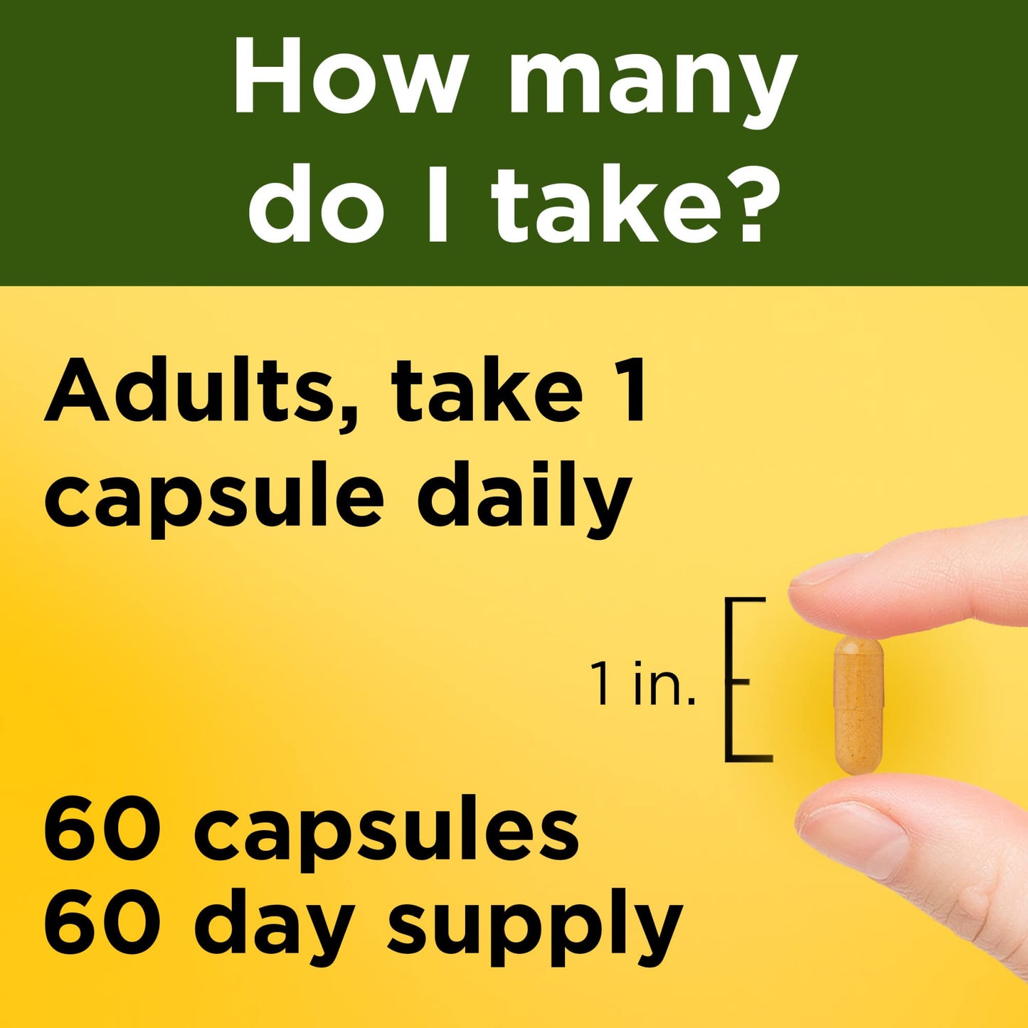Nature Made Turmeric Curcumin 500 mg, Herbal Supplement for Antioxidant Support, 120 Capsules, 120 Day Supply - Nirvana Guru