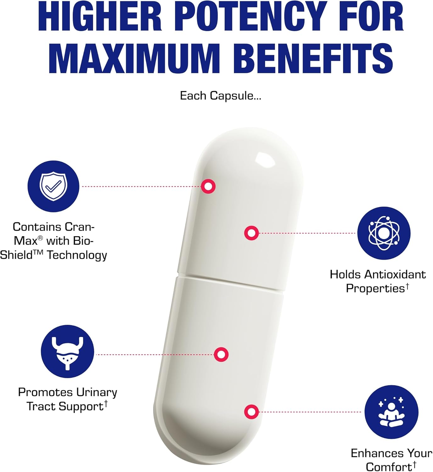 Cranberry Pills for Women Urinary Tract Health - Clinical Strength Cran-Max® Cranberry Extract Capsules to Support Bladder Cleansing and Urinary Tract Health for Women - Super Potent Vegan & Non-GMO Nirvana Guru