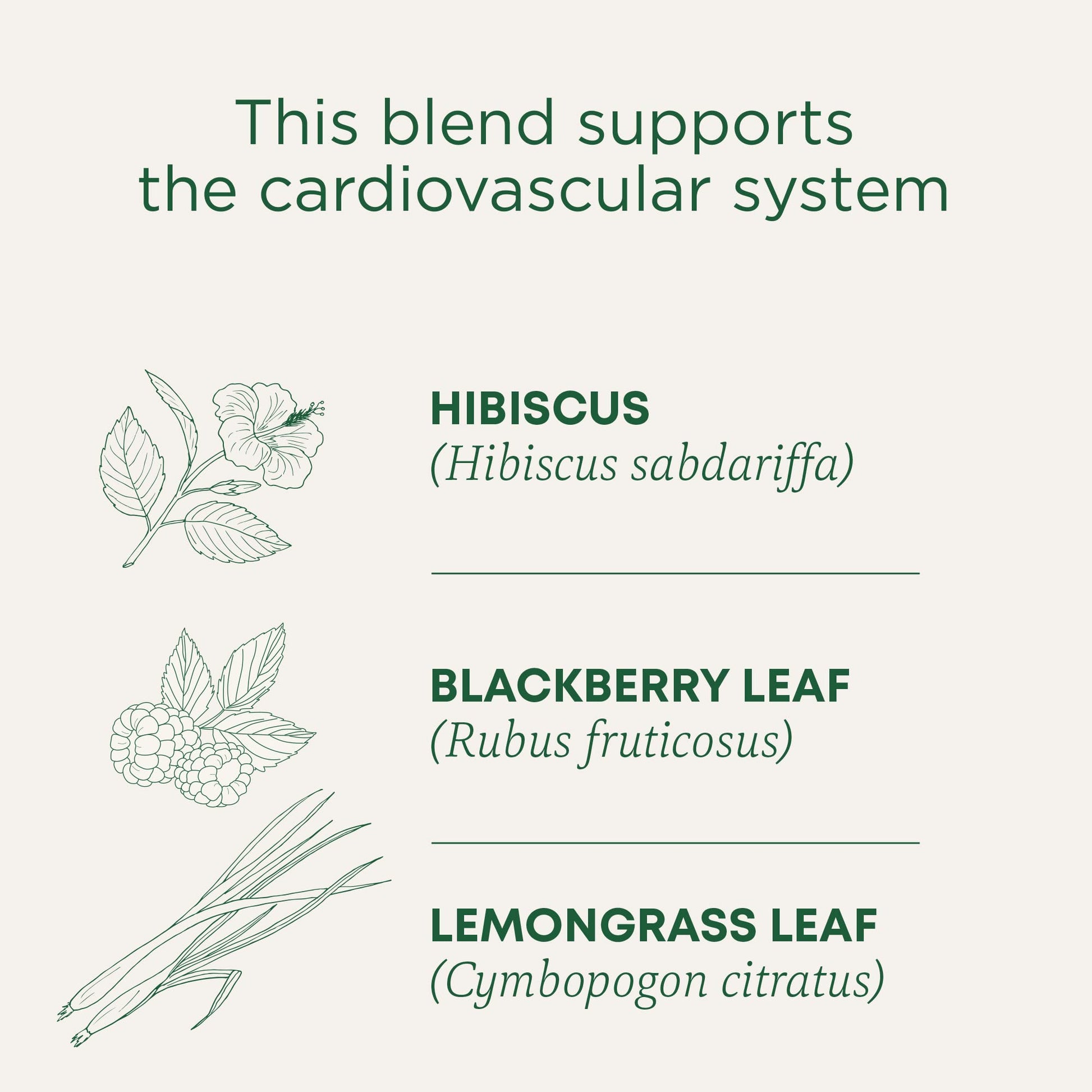Traditional Medicinals - Organic Hibiscus Herbal Tea (6 Pack) - Supports Heart Health - 96 Tea Bags Total - Nirvana Guru