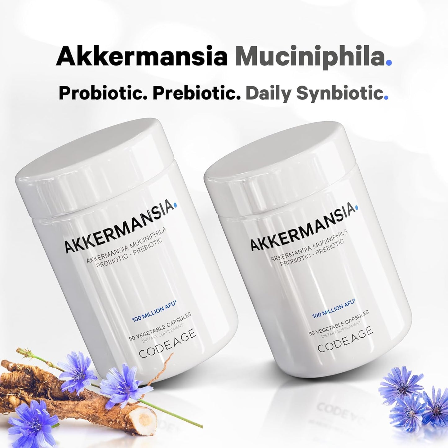 Codeage Akkermansia Muciniphila Probiotic Supplement - 3-Month Supply of Akkermansia & Chicory Inulin - Daily Synbiotic Probiotic Chicory Root - 100 Million AFUs - Gluten-Free - 90 Capsules - Nirvana Guru