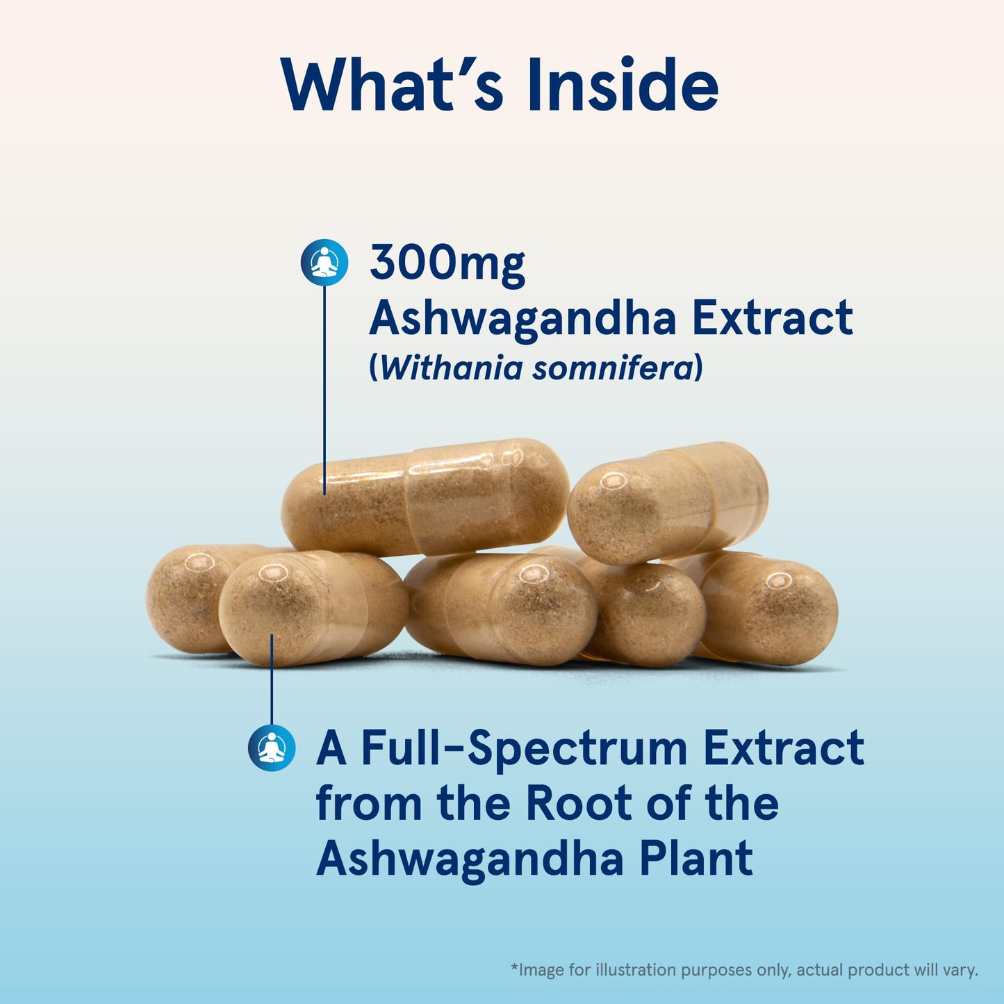 Jarrow Formulas® Ashwagandha Capsules, 300 mg Supplement Supports Normalized Resistance to Mental and Physical Stress, 120 Veggie Capsules, 60 Day Supply - Nirvana Guru