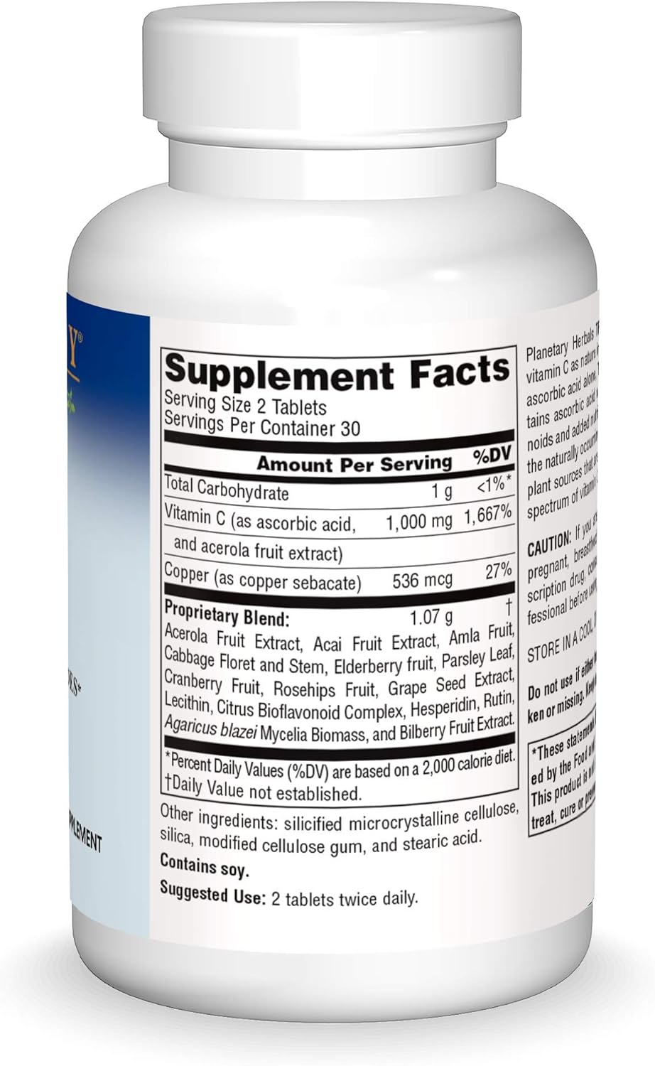 Planetary Herbals Positive Teens & Kids 435mg, Supports Emotional Well-Being,120 Tablets - Nirvana Guru