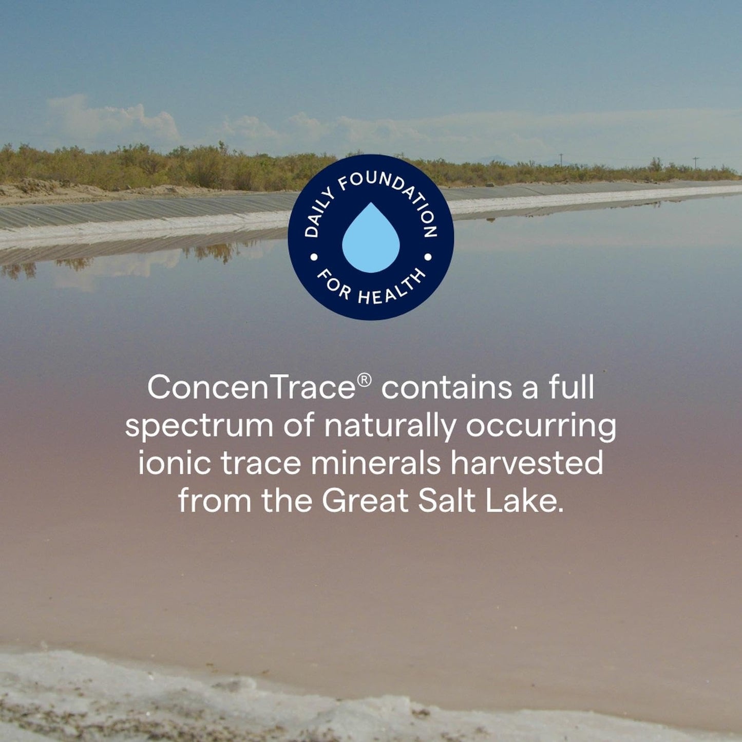 Trace Minerals ConcenTrace Trace Mineral Drops | All-Natural Liquid Minerals | Replenishes Electrolytes & Supports Hydration, Energy, Mood, Muscles, Digestion, & Restful Sleep | 8 fl oz (96 Servings) Nirvana Guru