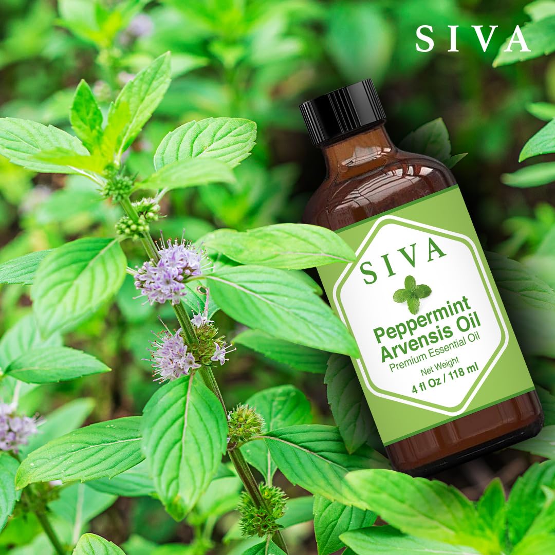 SIVA Lavender Essential Oil - 4 Fl Oz – Natural Lavender Oil - for Diffuser, Face, Skin Care, Aromatherapy, Hair Care, Scalp and Body Massage - with Dropper - Nirvana Guru